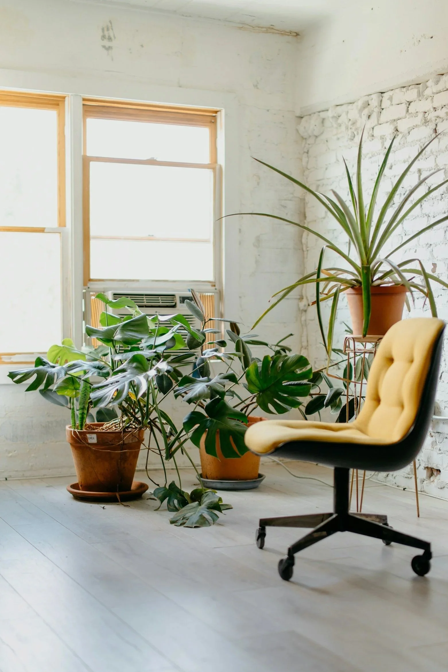 Room with white brick wall, wooden floor, and large window, featuring several potted plants and a yellow cushioned office chair.