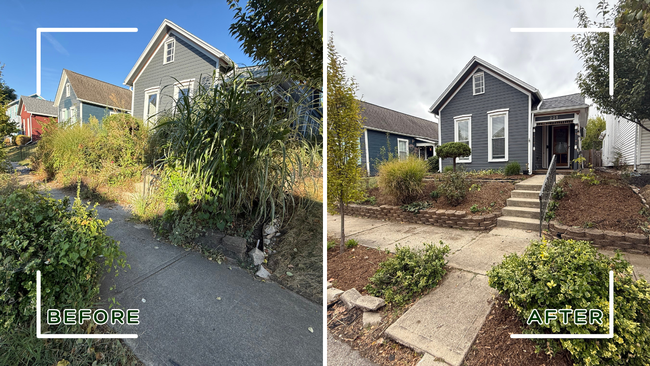 Side-by-side comparison of a house's front yard before and after landscaping. The "before" image shows overgrown bushes and plants along the sidewalk, while the "after" image shows a neatly landscaped yard with trimmed bushes, a small tree, and a clean walkway.