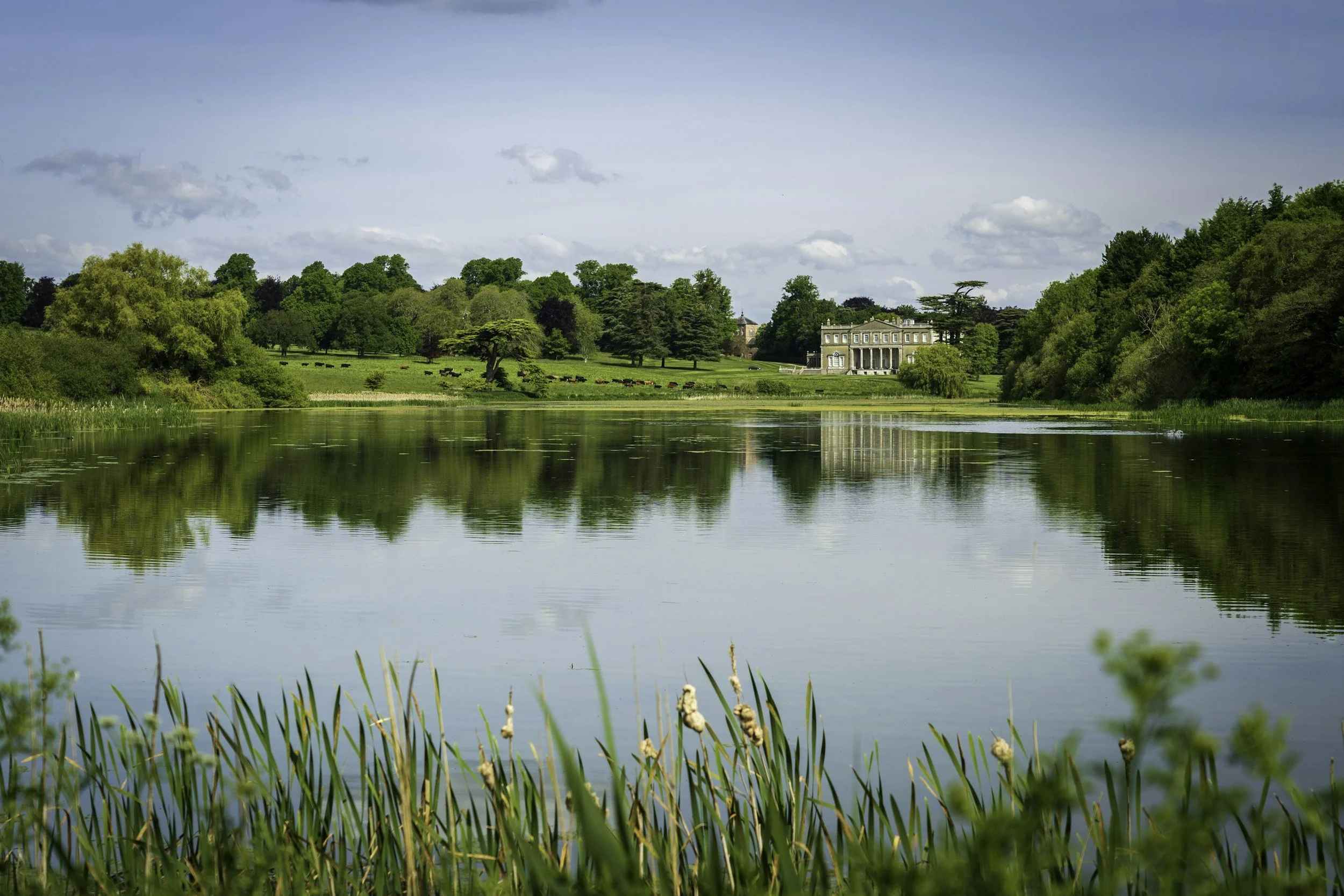 A peaceful landscape featuring a calm lake with green grass and reeds in the foreground, reflecting a large estate and lush trees under a partly cloudy sky.