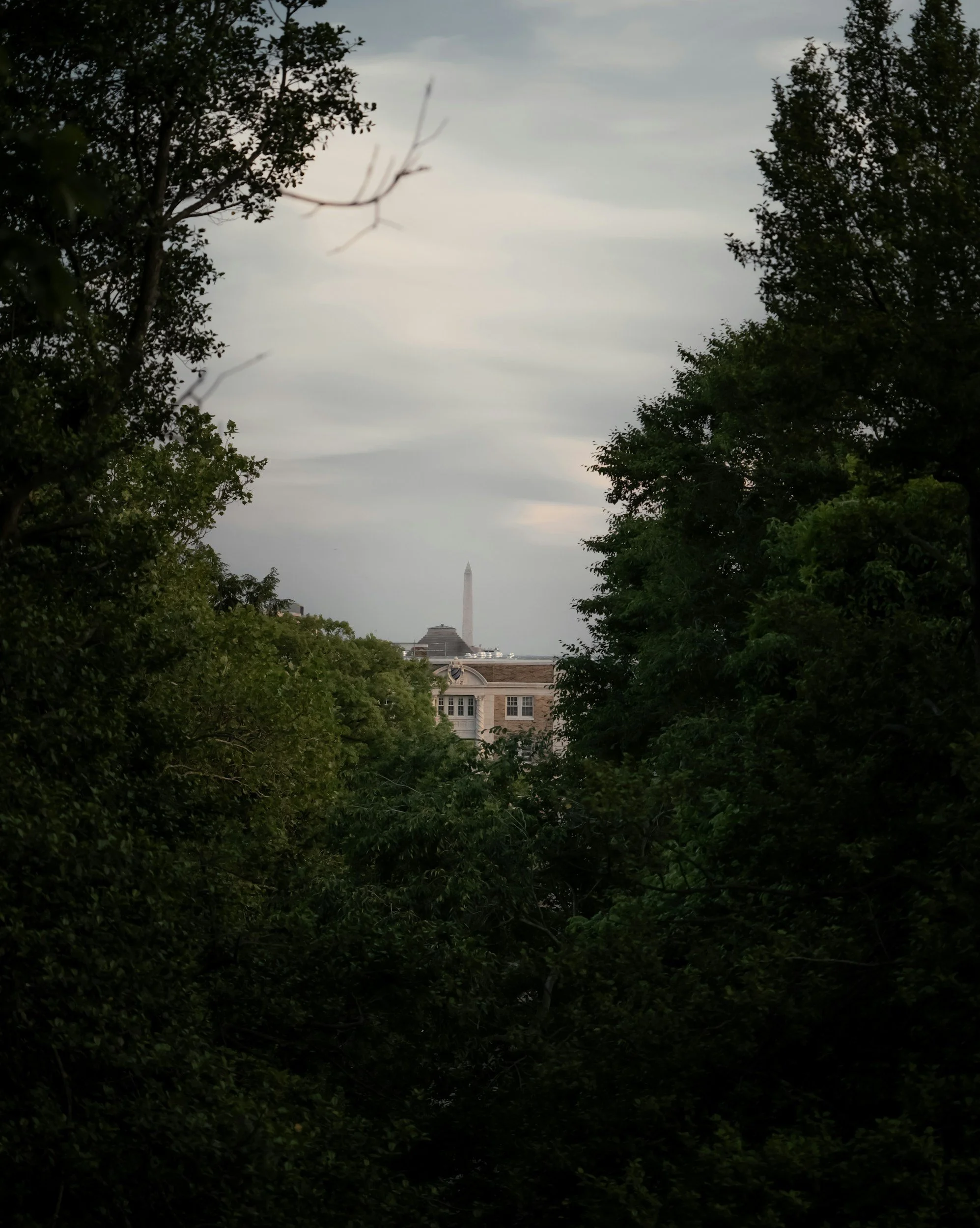 View through trees showing the Washington Monument in the distance under a cloudy sky.