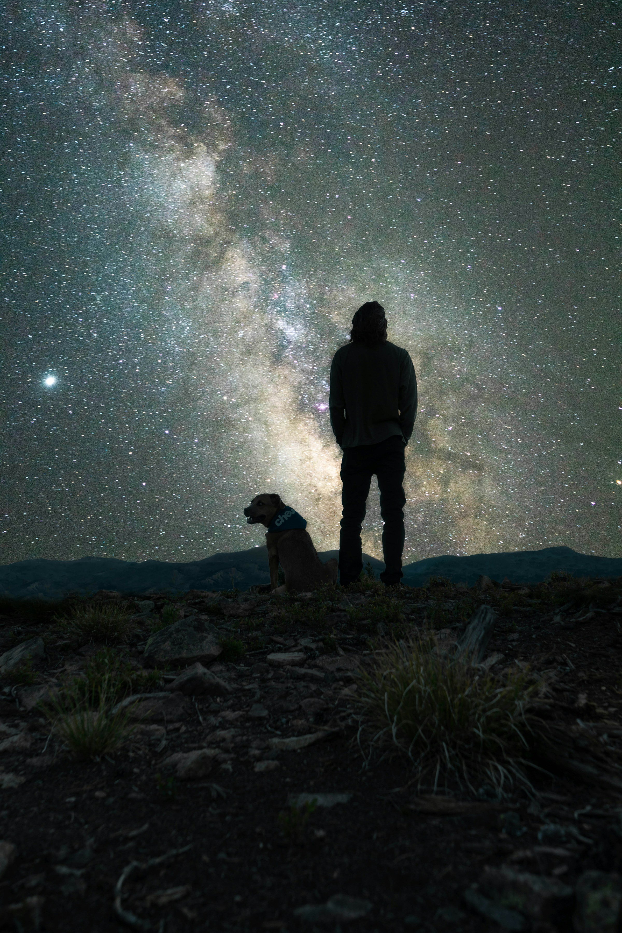 Man and Dog looking at stars