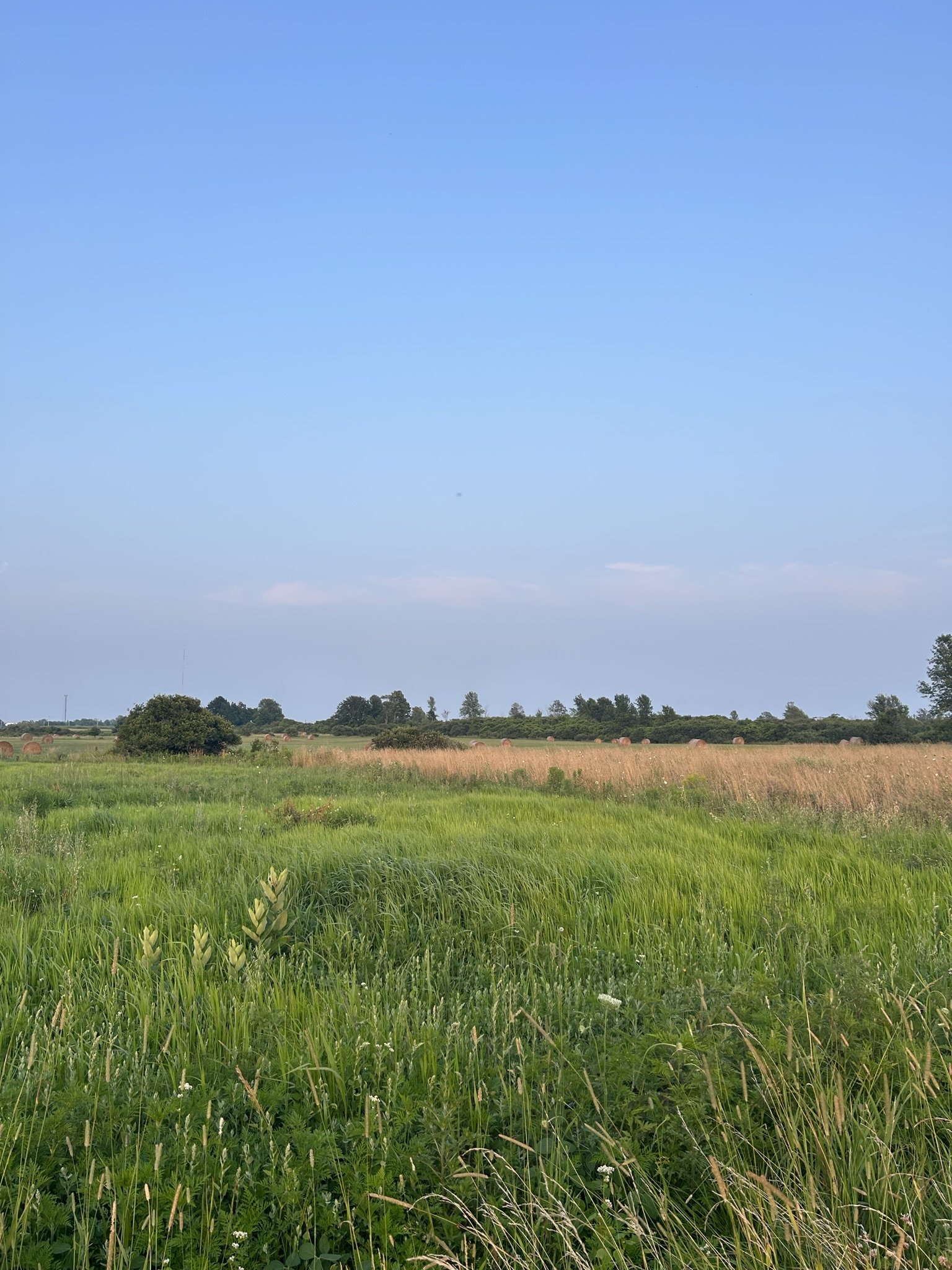 The Complete 2026 Guide to Summer in Wausau, Wisconsin