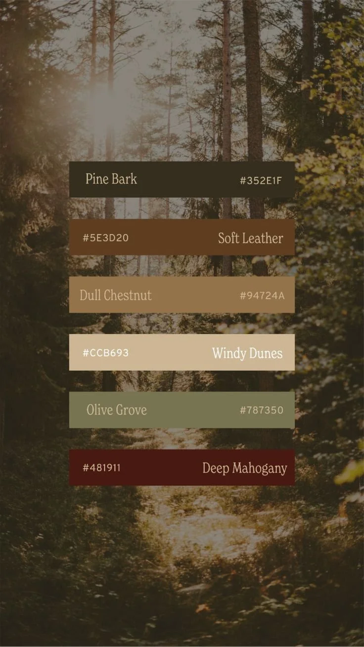 Our Favorite Northwoods Cabin Color Palettes