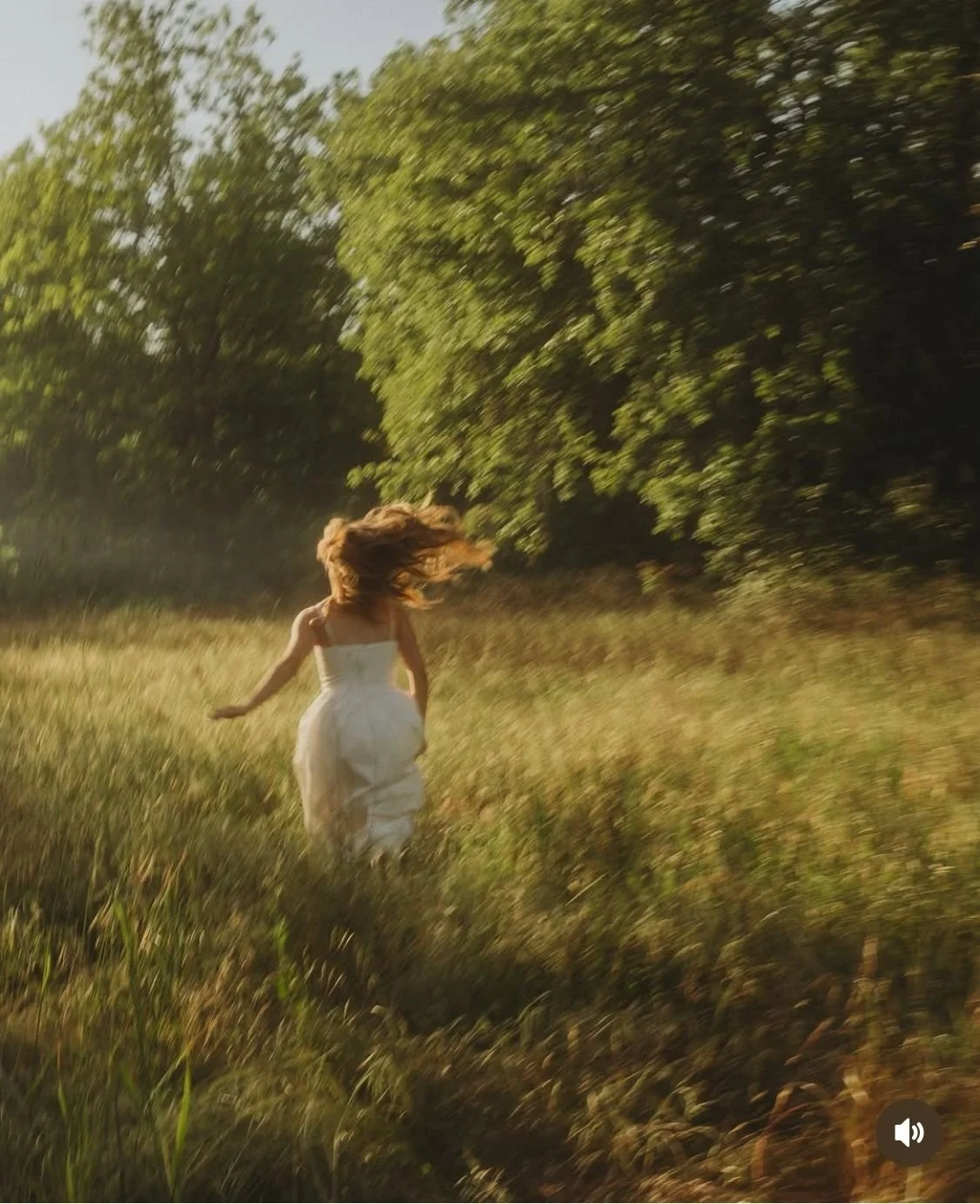 What Does It Mean to Find Your Wild?