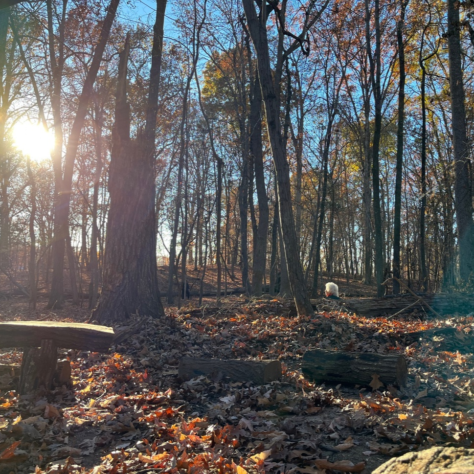 Wonder with Nature