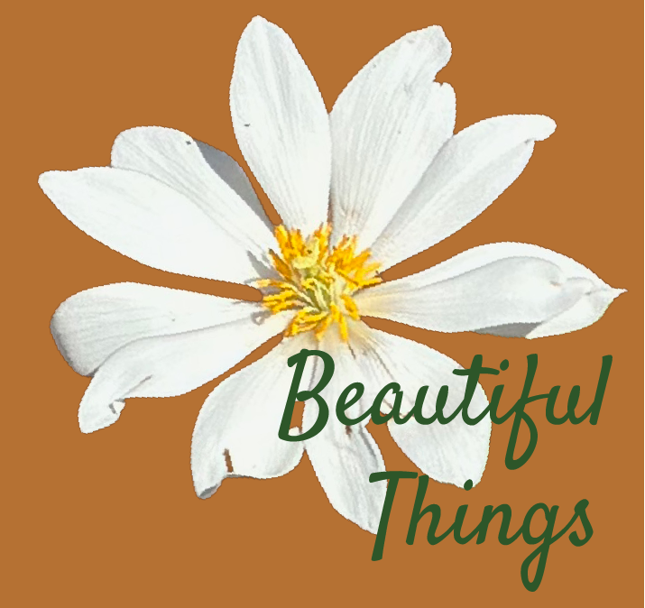 Beautiful Things: Community Open House