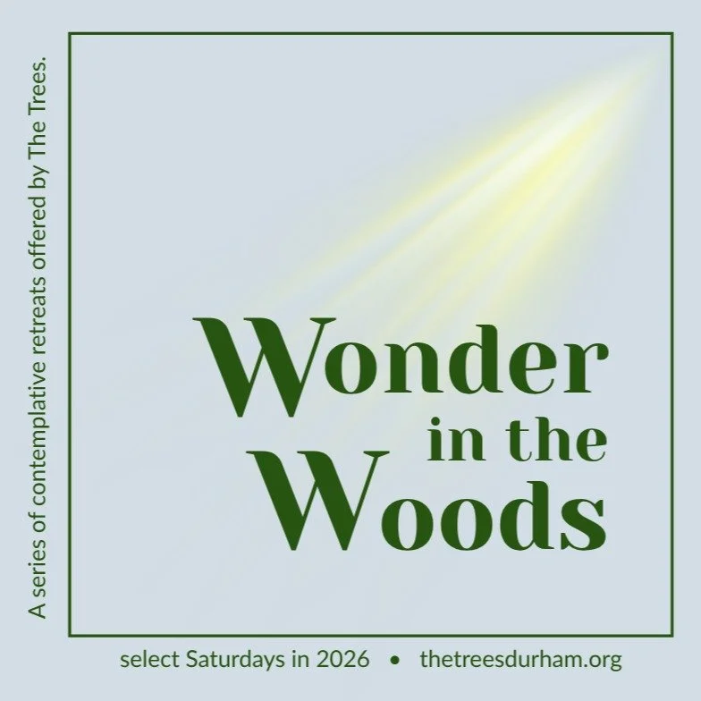Join us this summer for a series of contemplative retreats designed to help you reconnect with your innate sense of wonder.

See the series of offerings at thetreesdurham.org/news/wonder