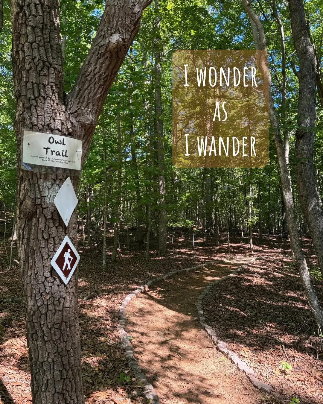 Join us this summer to reignite your sense of wonder with contemplative retreats and rejuvenating time in nature.
thetreesdurham.org