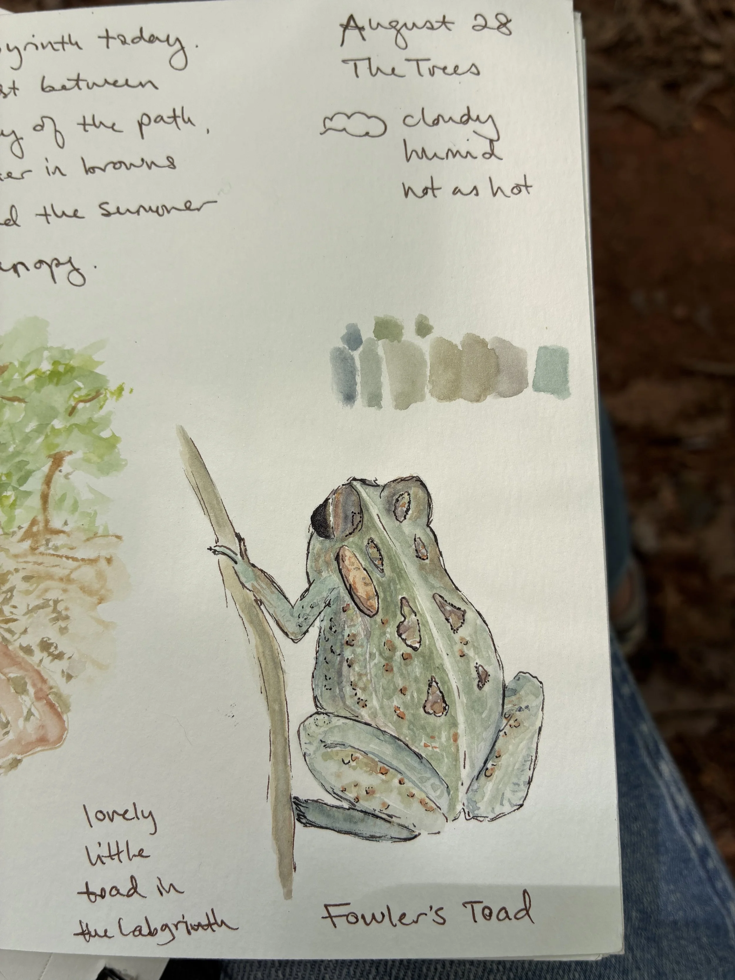 Nature Journaling