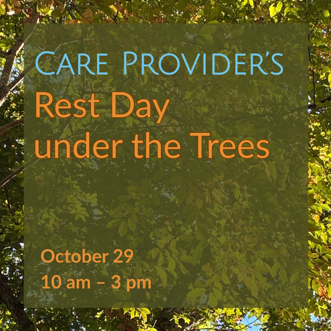 Rest Day under the Trees