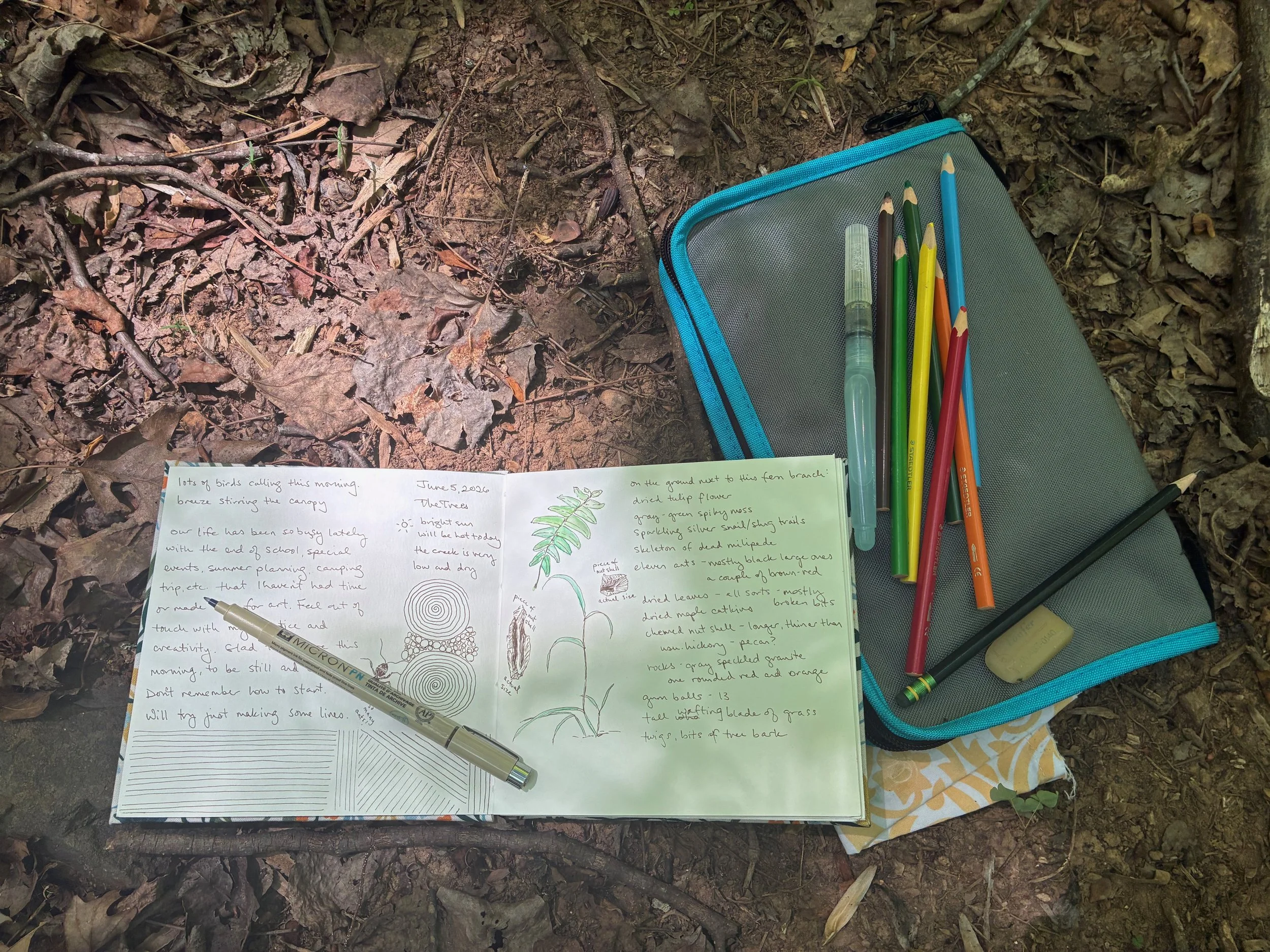 Nature Journaling