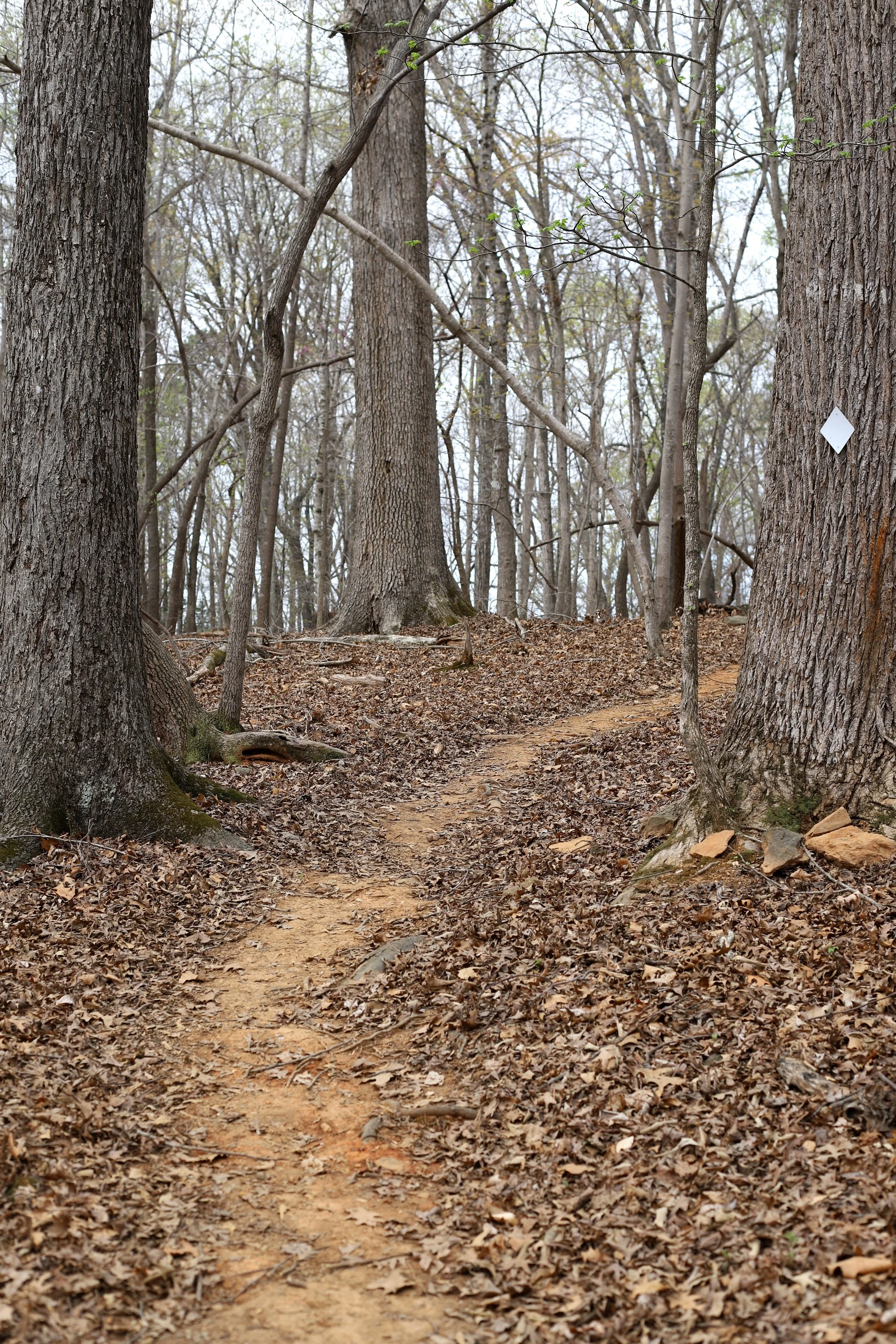 Walking trails