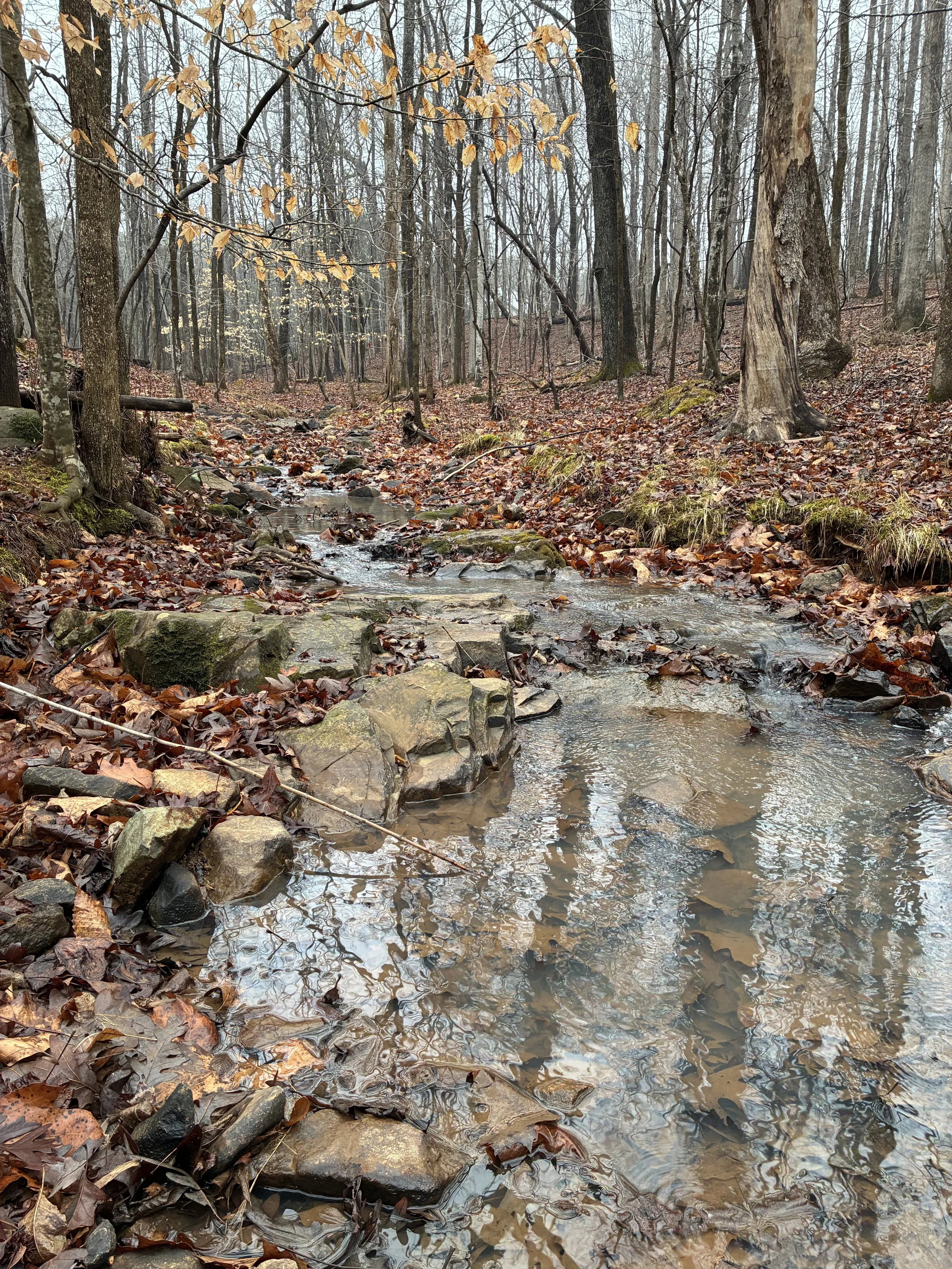 Burbling creek