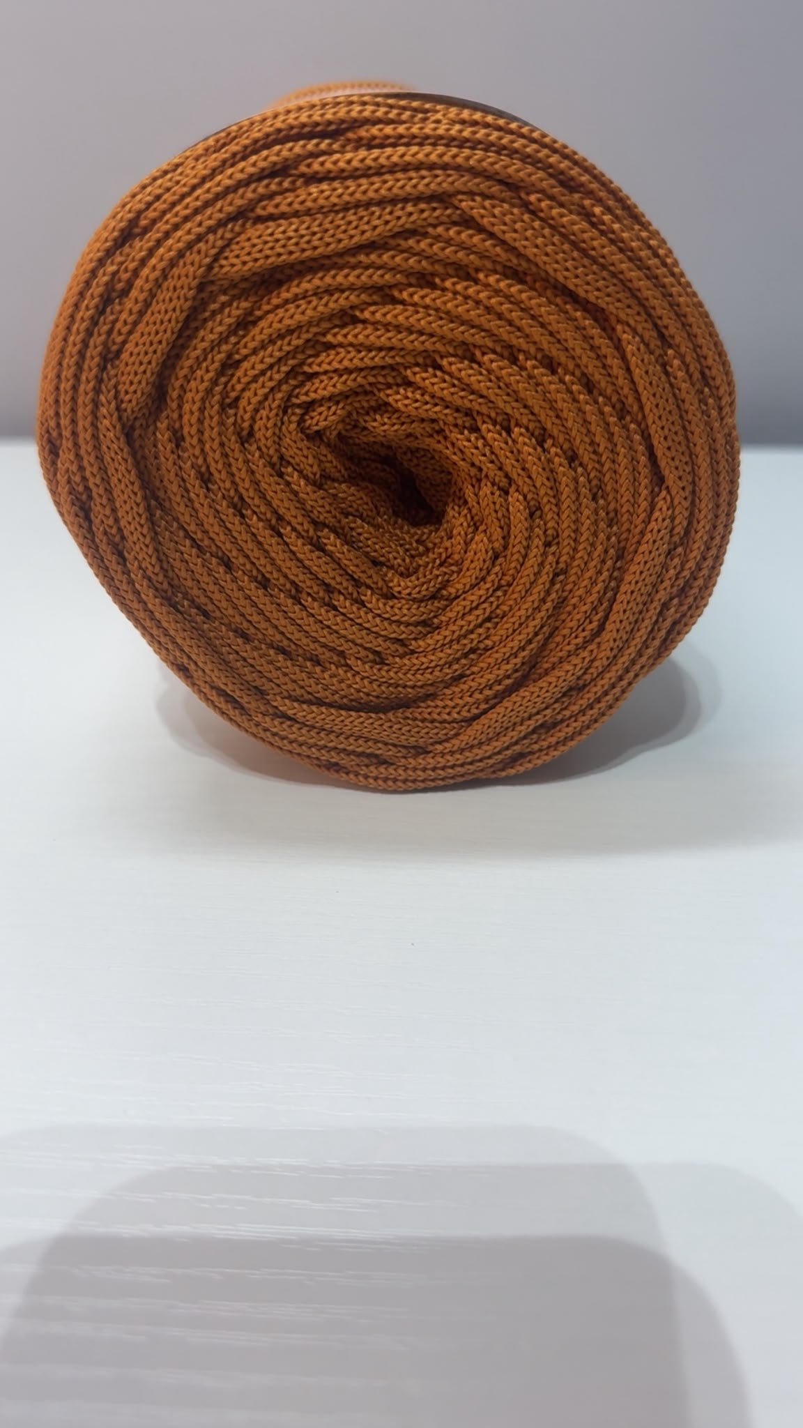 Cinnamon 3.jpeg
