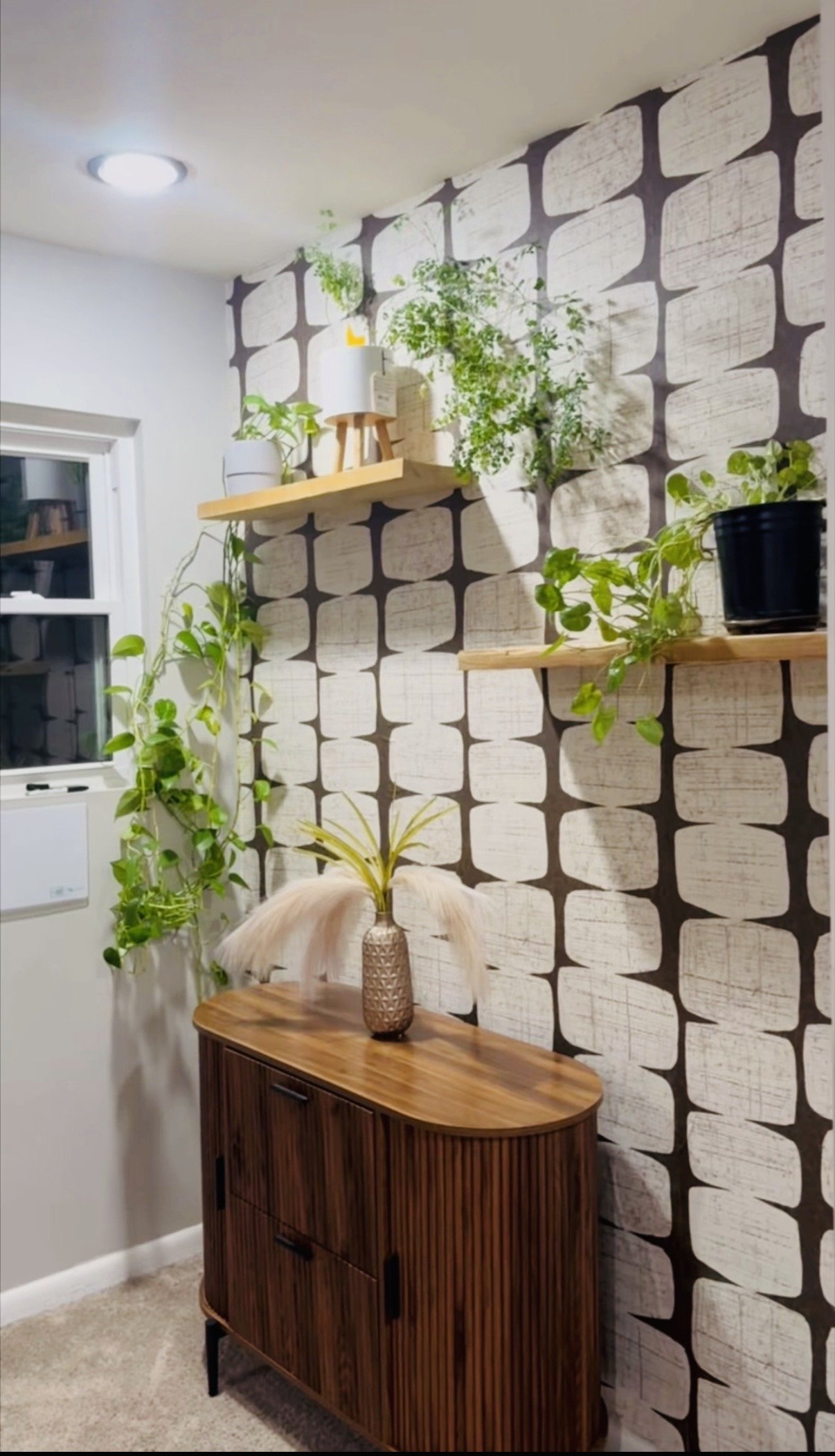 Decorative interior corner with a wooden sideboard, hanging plants, and two floating shelves with potted plants on a patterned wall.