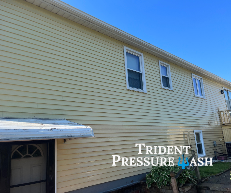 The side of a yellow house with four windows, a small outdoor staircase, a white door with a window, and a satellite dish, under a clear blue sky.