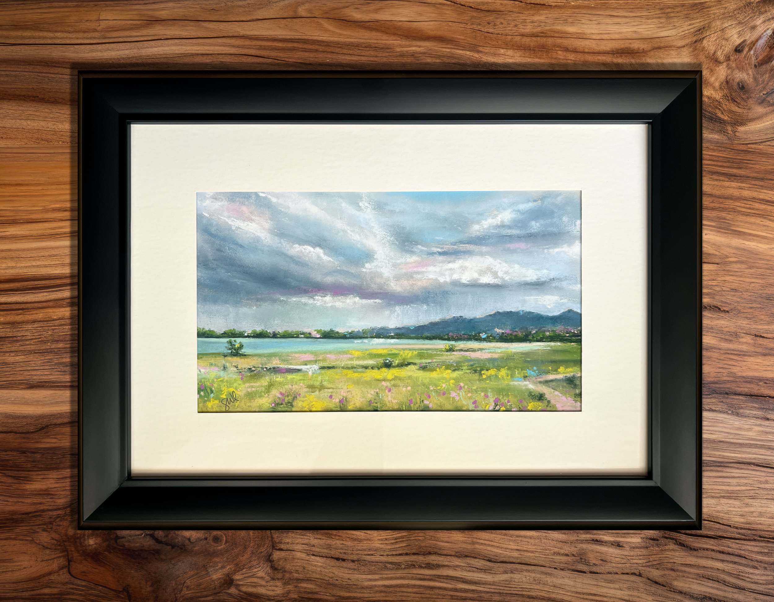 Longmont Storm 9.5" x 5.5"