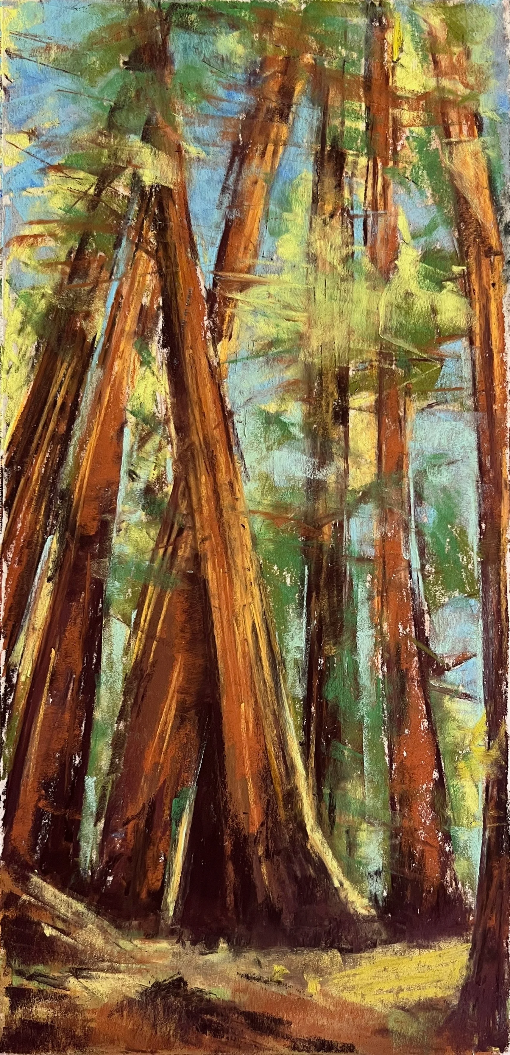 Armstrong Redwoods (SOLD)