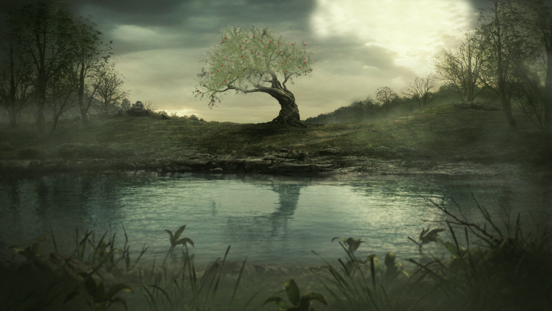 A solitary, old tree with a curved trunk and sparse leaves, standing on a small hill by a calm river, with a cloudy sky overhead and fog along the ground. Red butterflies are clustered on the tree's branches.