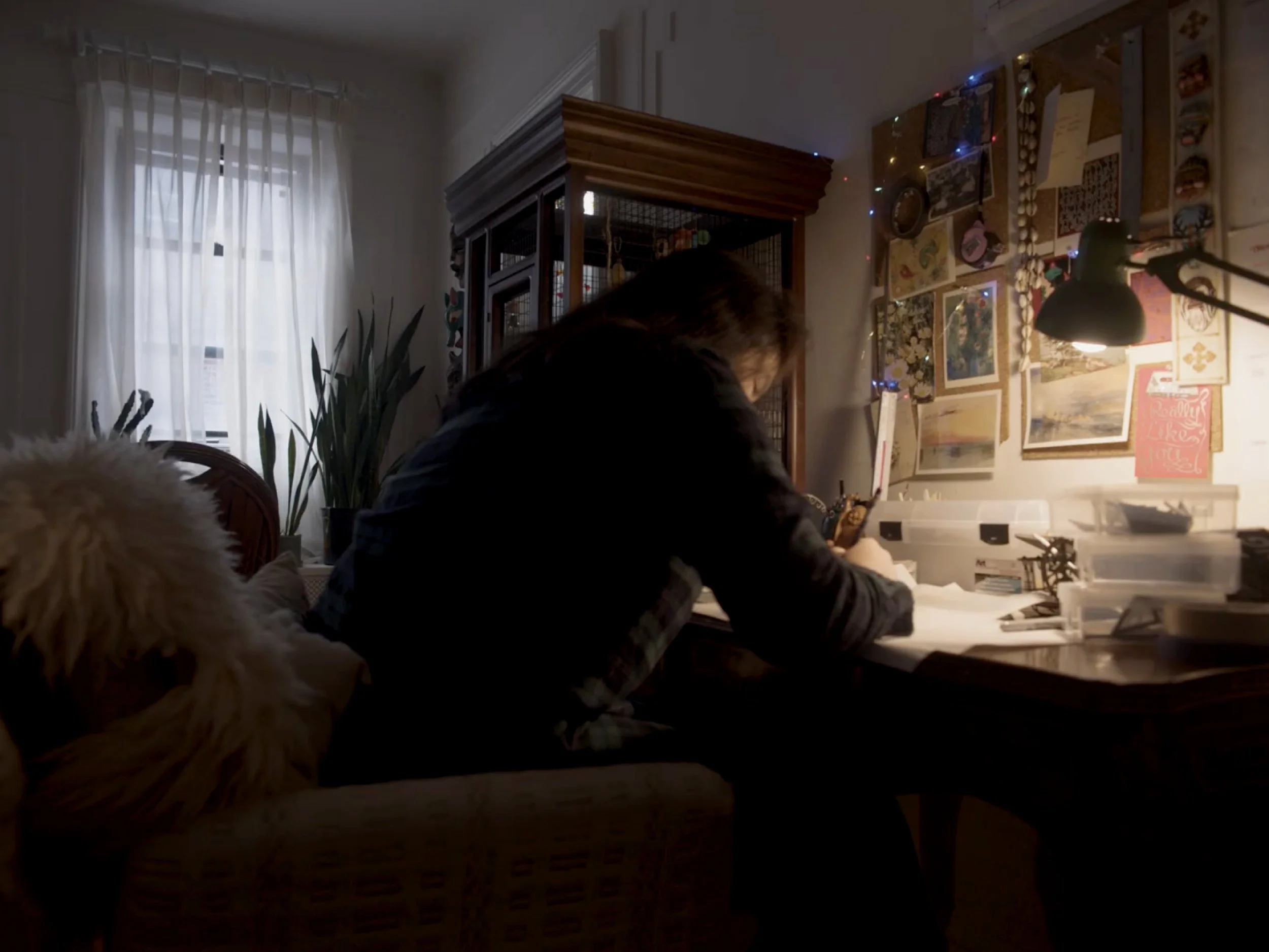 A cozy living room with a window covered by white curtains, a plant near the window, and a wall decorated with artwork and string lights. A person is sitting at a desk or table, focused on work or reading, with a dog in the foreground.