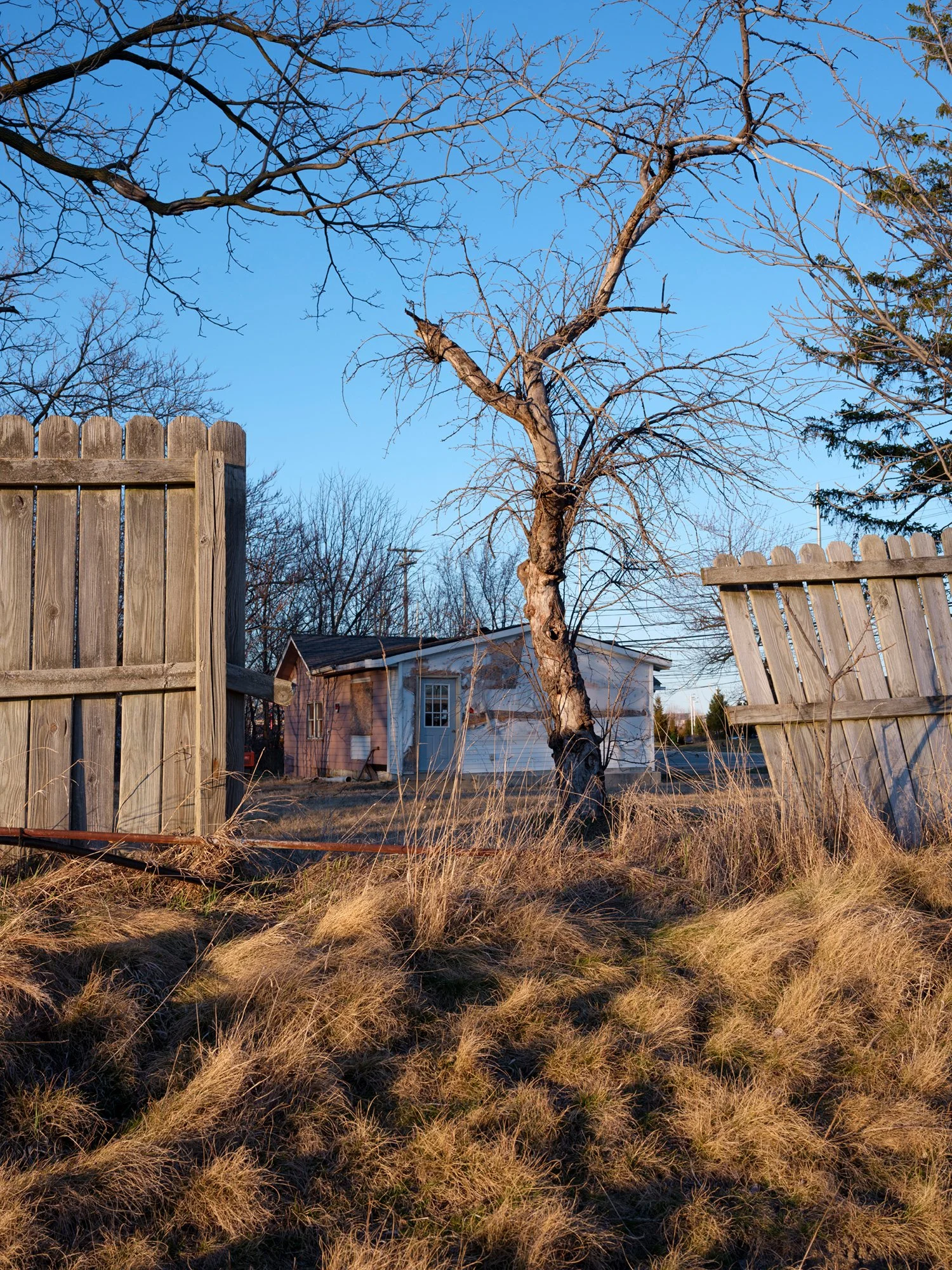 01- House+FenceNEW copy 3.jpg