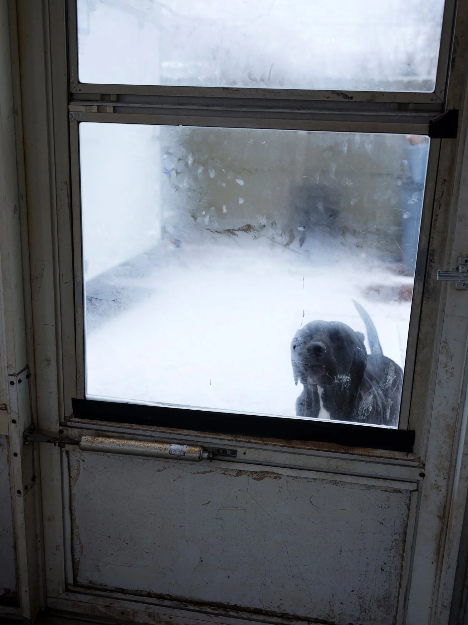 06 - Roscoe copy 3.jpg