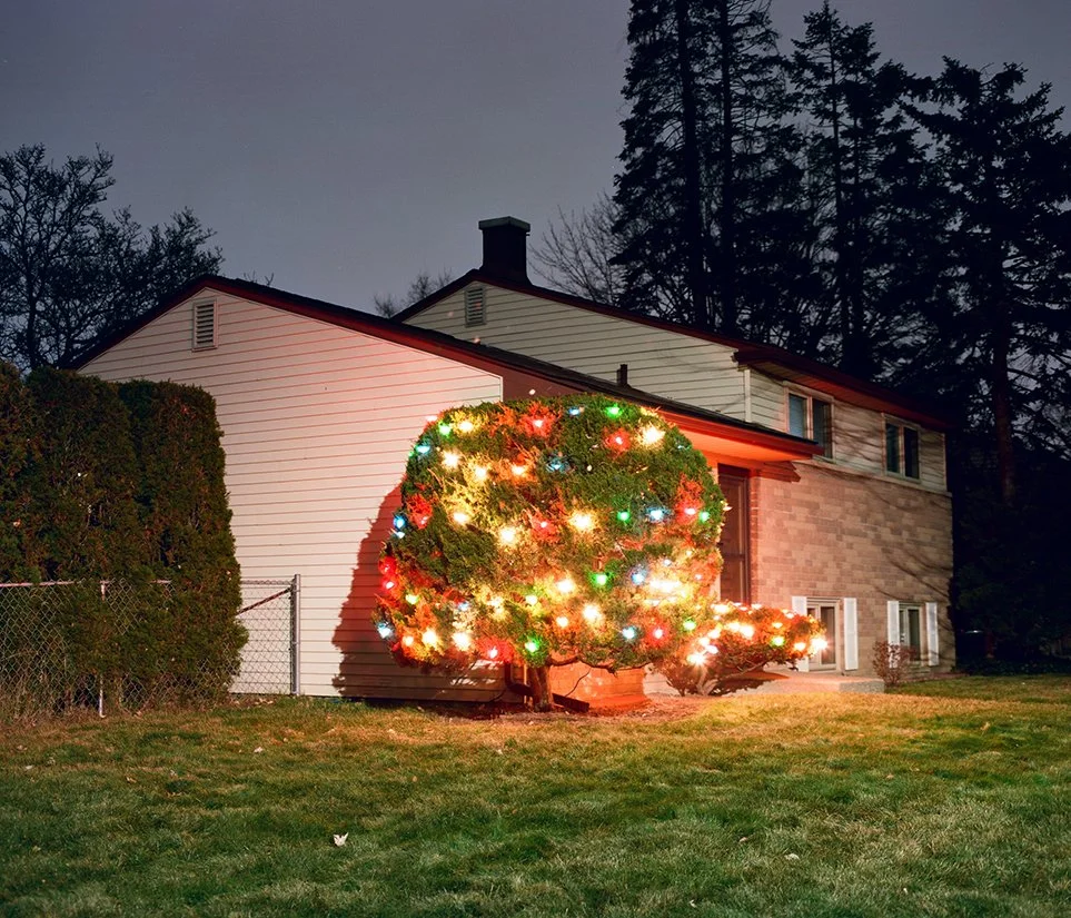 INBAPIWTL - Website07 copy.jpg