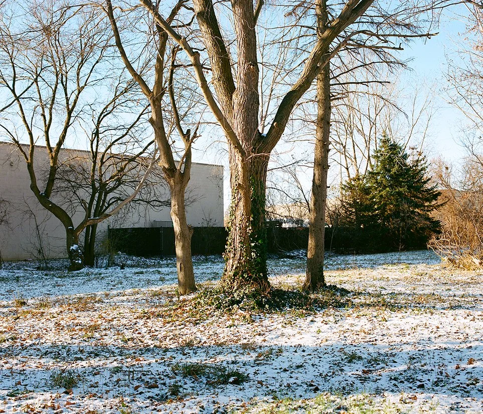 INBAPIWTL - Website15 copy.jpg