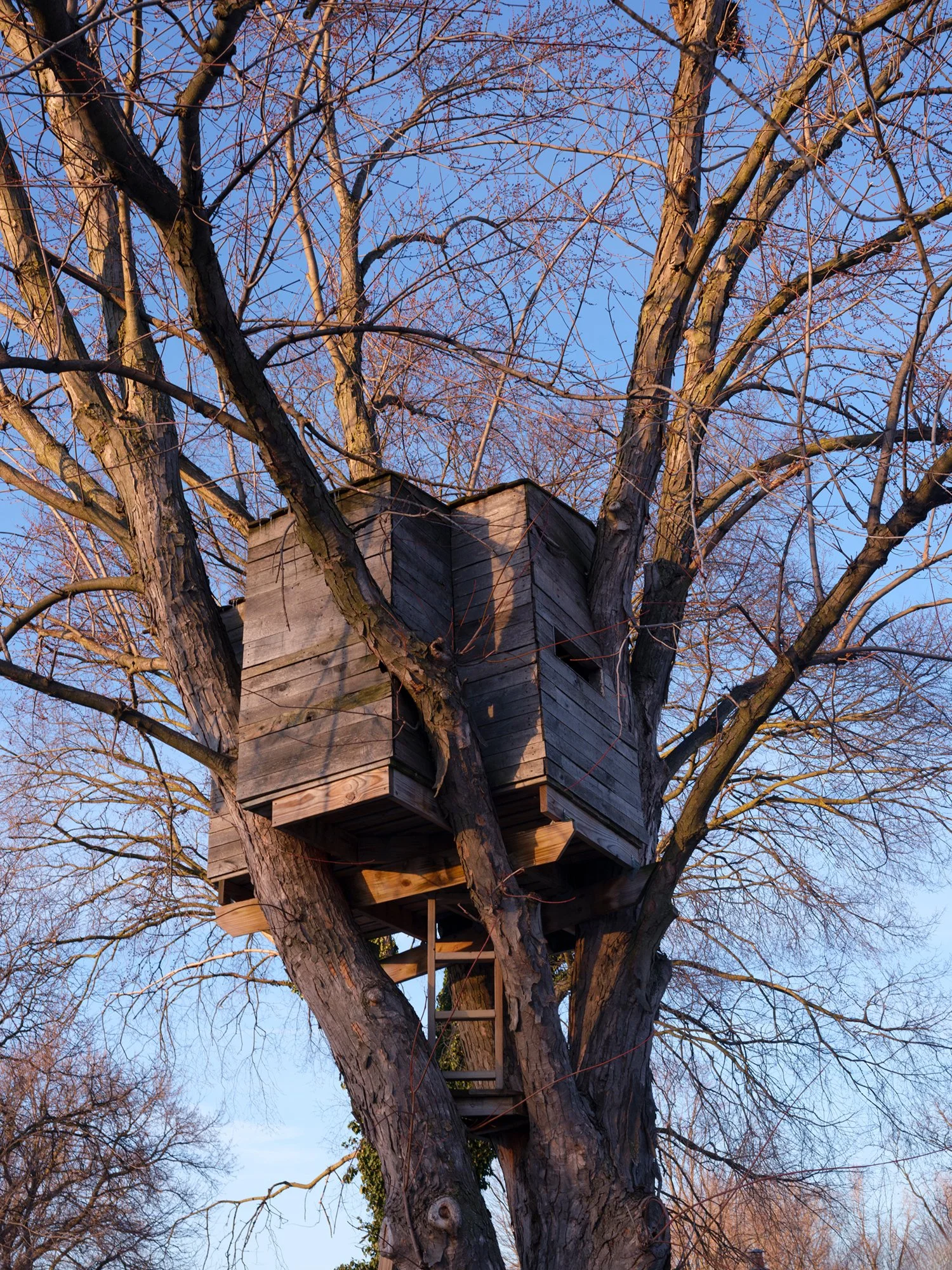 12 - Treehouse 1 copy 2.jpg