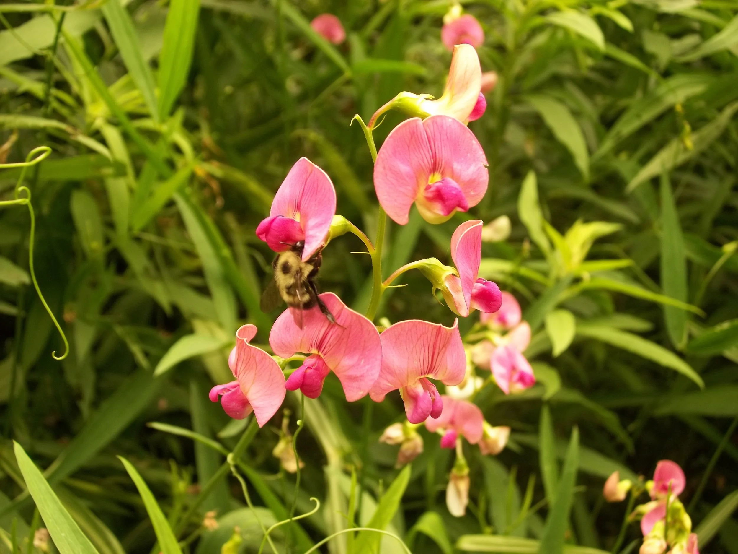 100_7083.JPG