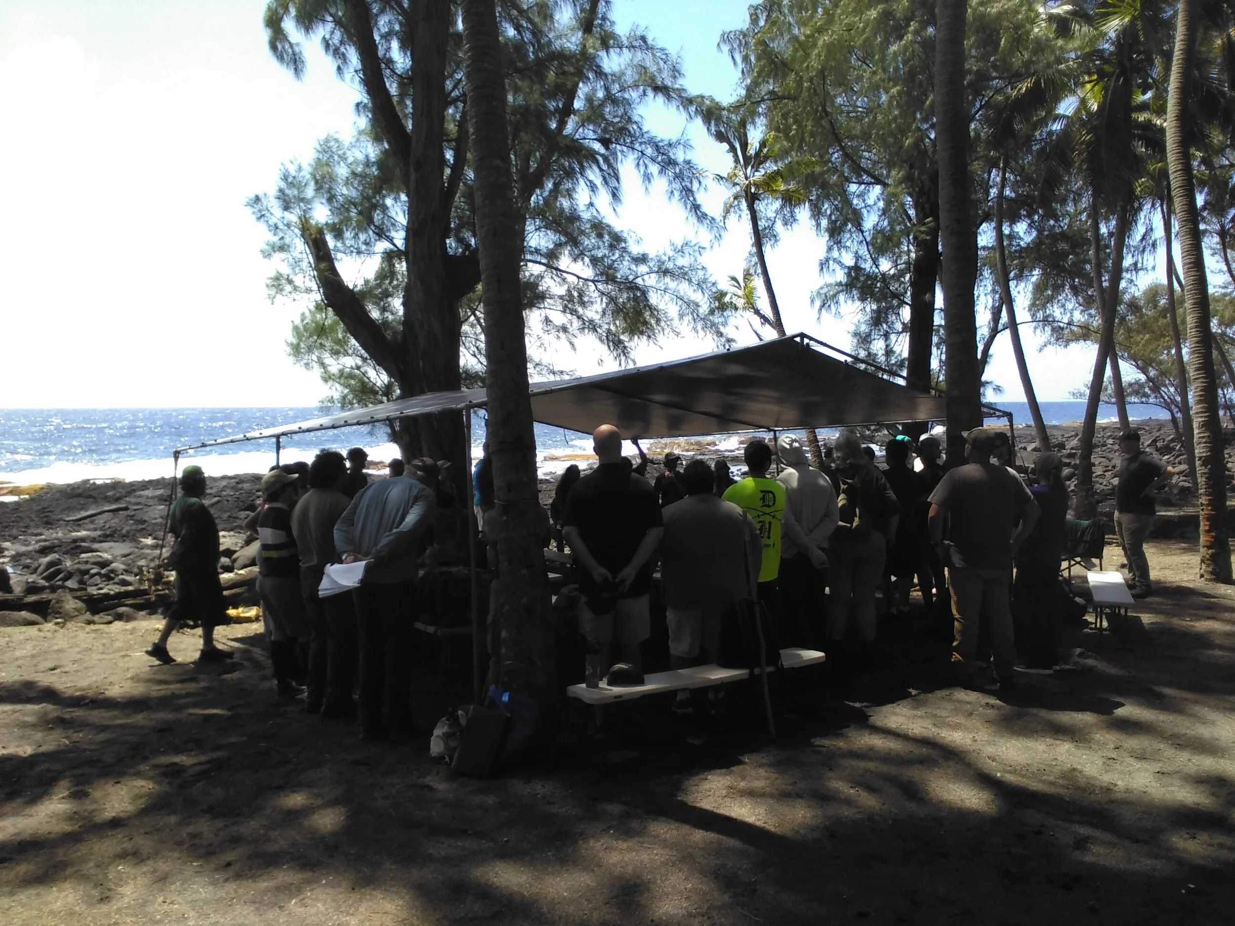 Kolea Institute March 2026 StoryMap