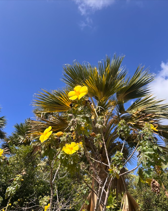 Screenshot 2026-03-29 191707.png