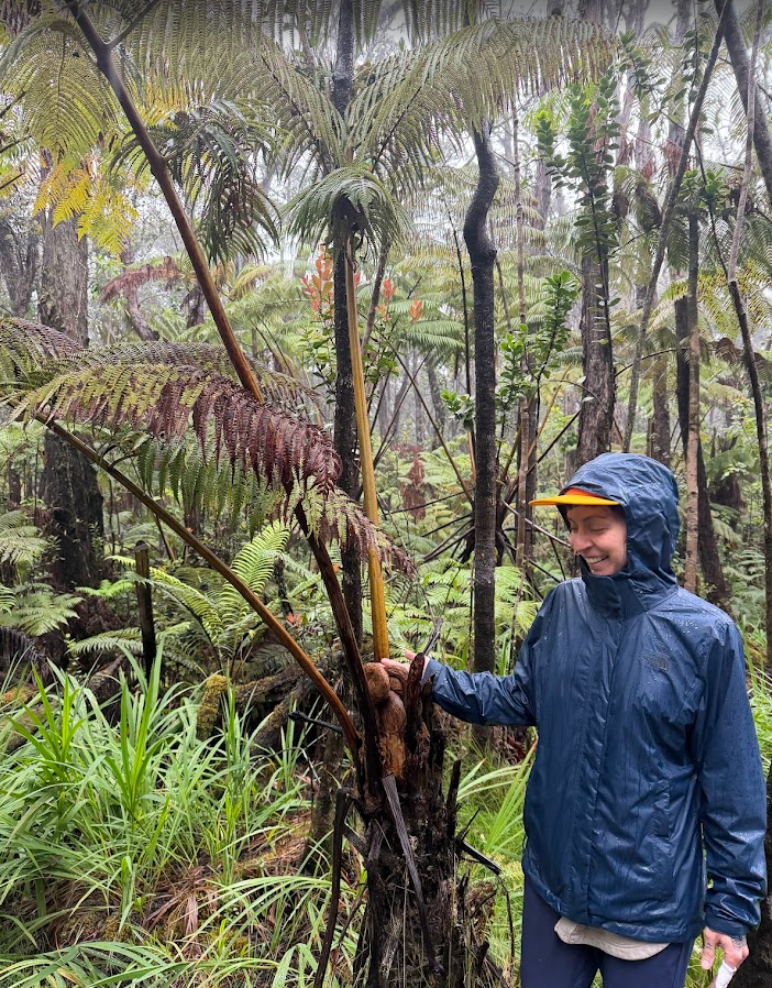 Screenshot 2026-03-29 192148.png