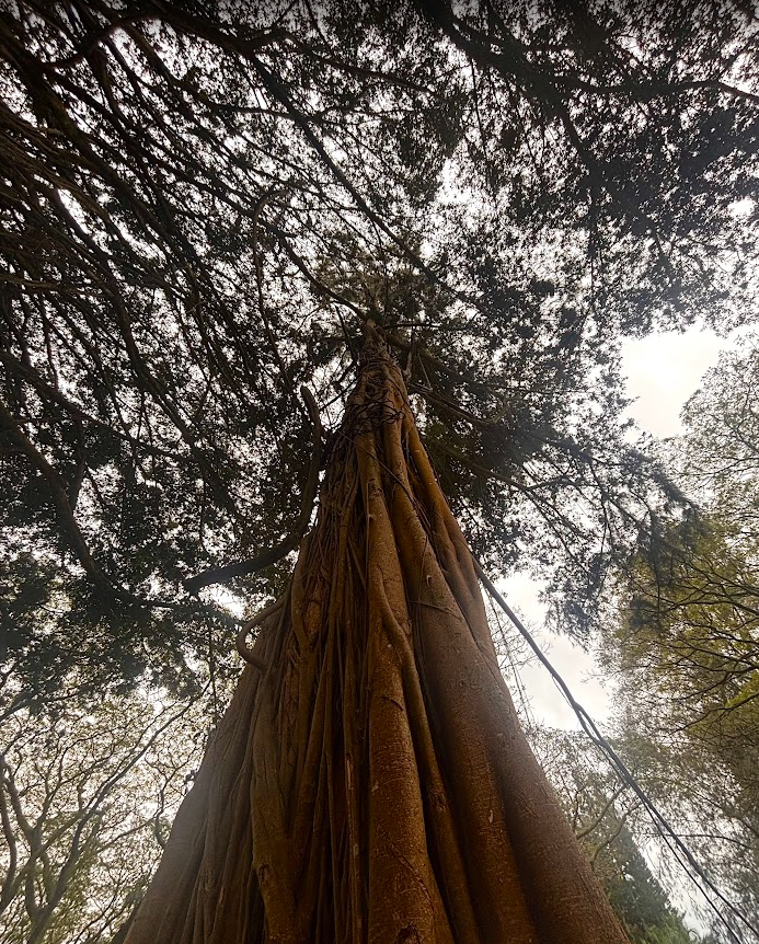 Screenshot 2026-03-29 192102.png