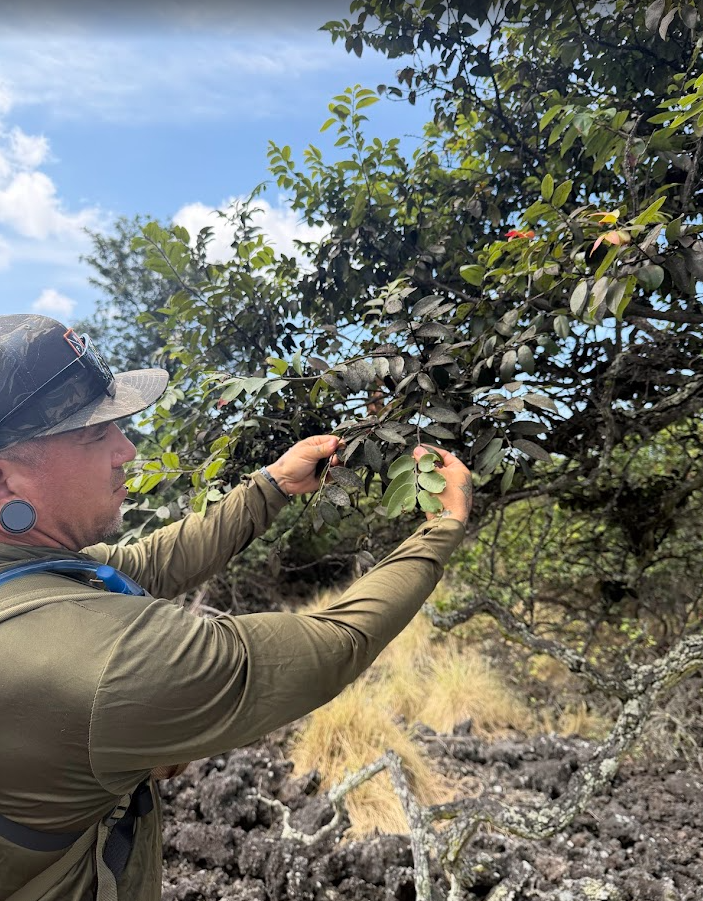 Screenshot 2026-03-29 191932.png