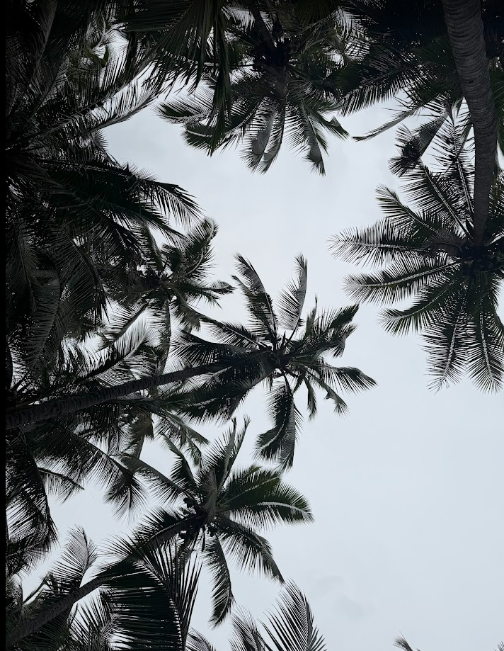 Screenshot 2026-03-29 190829.png