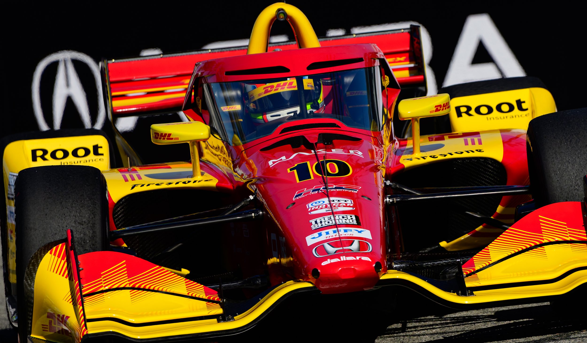 1Z8_7717-DxO_DeepPRIME 3.JPG