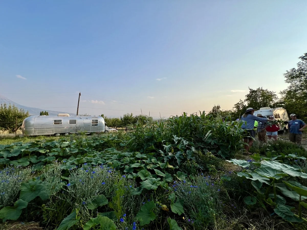 Principles of Soil Health