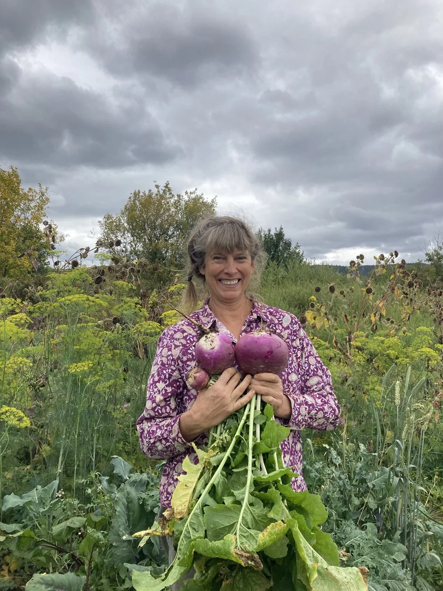 Discovering the Power of Regenerative