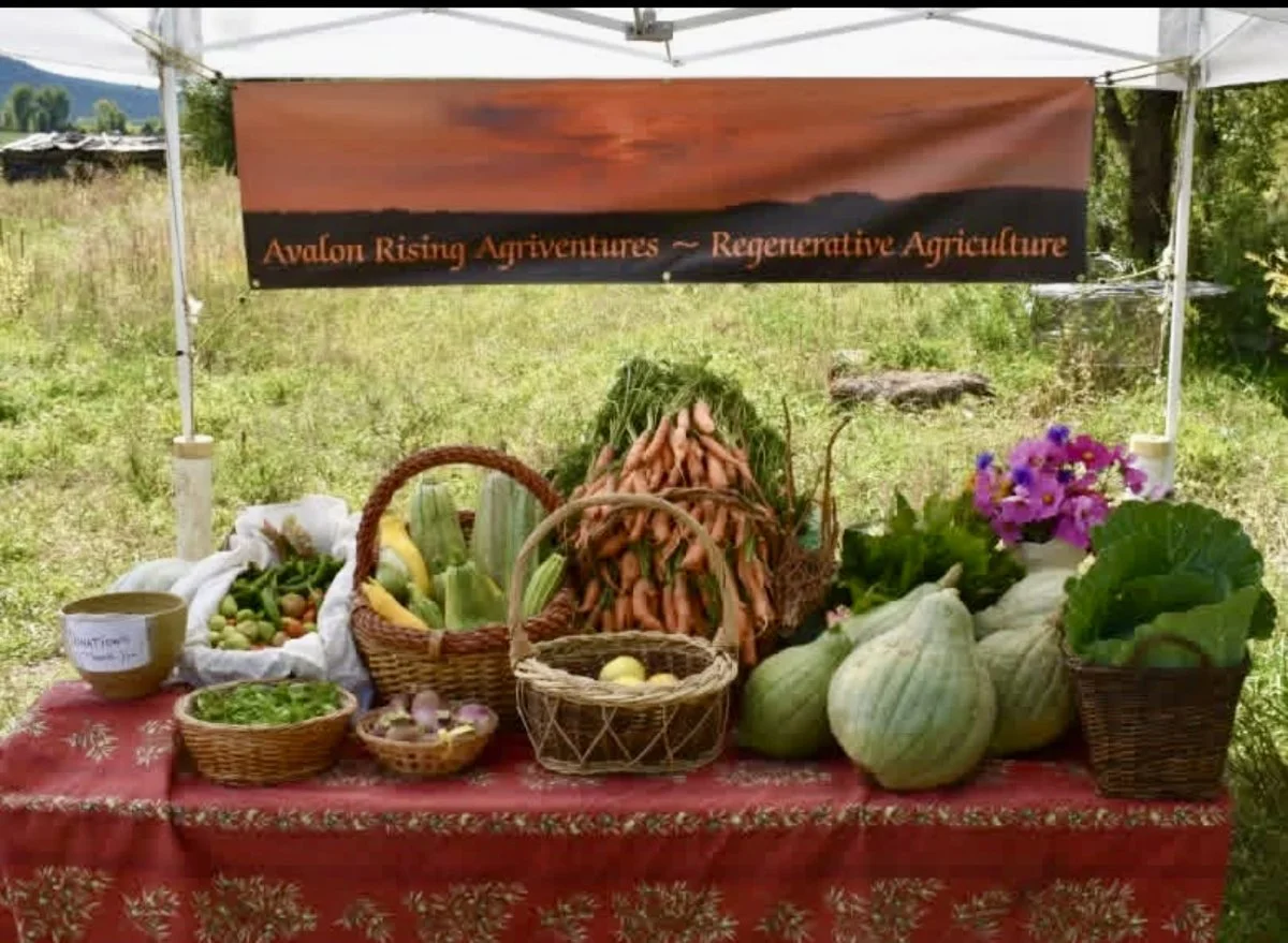 round-mountain-institute-regenerative-community-garden3.jpg