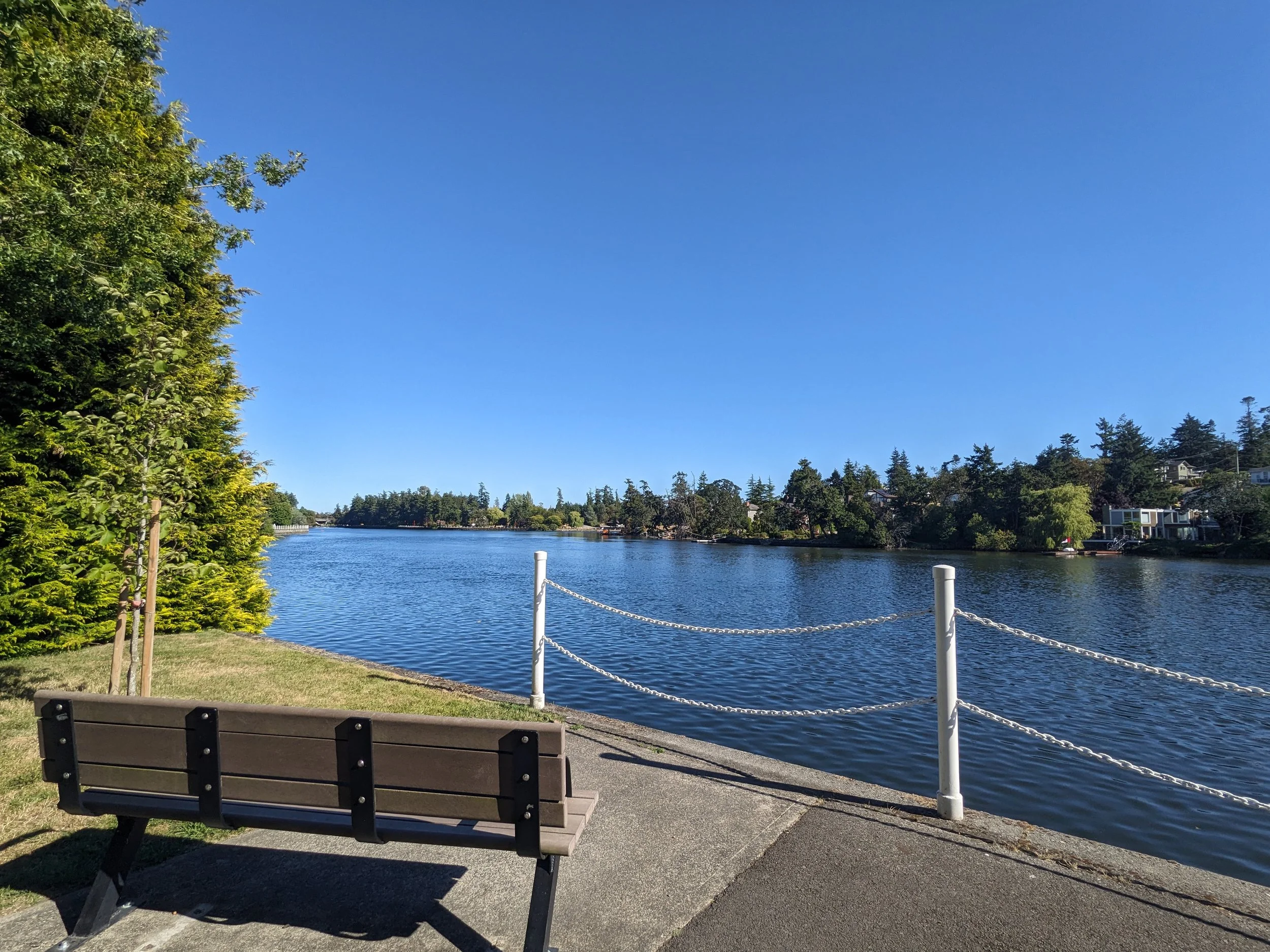 a wooden bench overlooking the ocean from a walking trail.