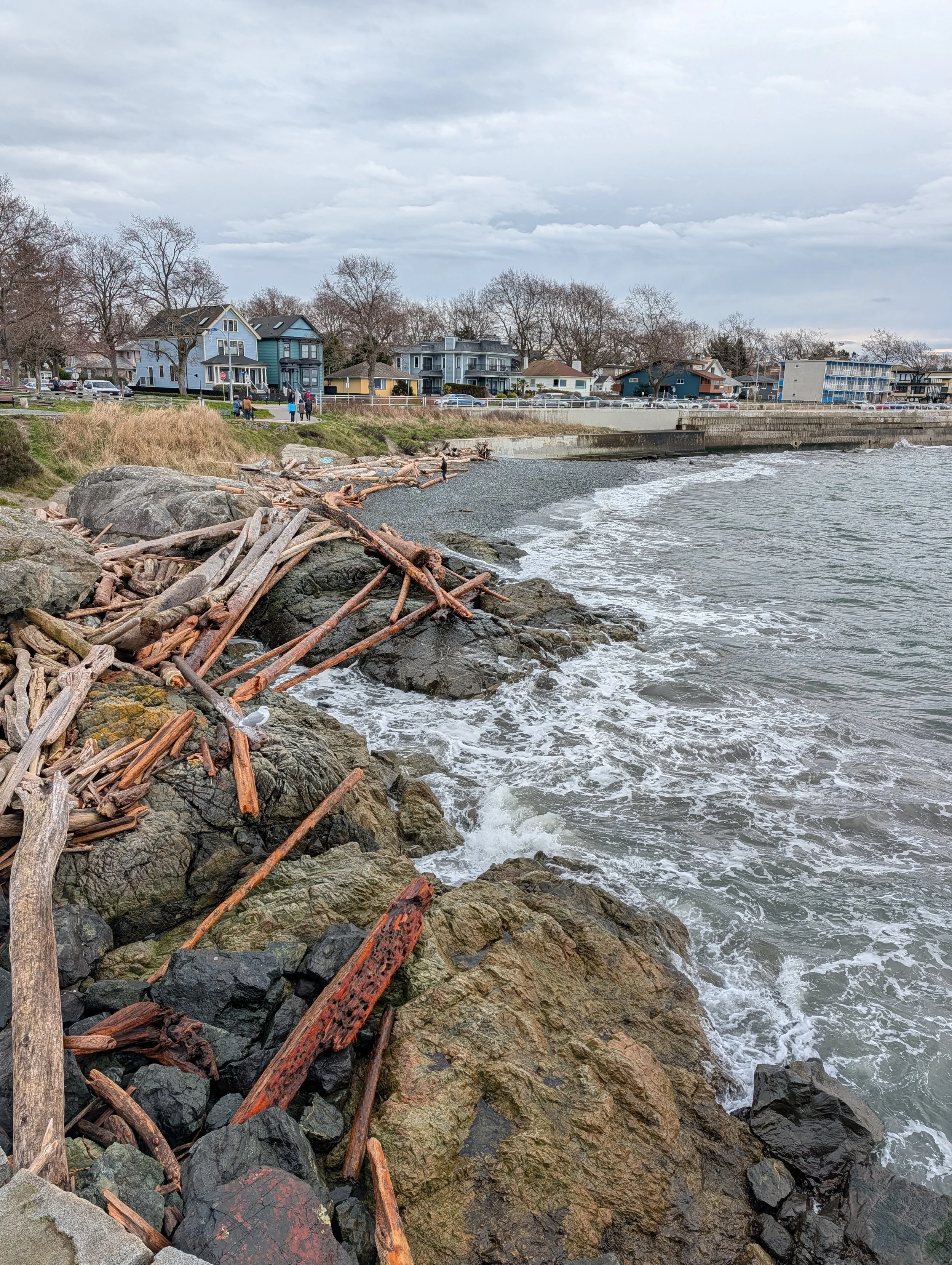 a beach near breakwater.