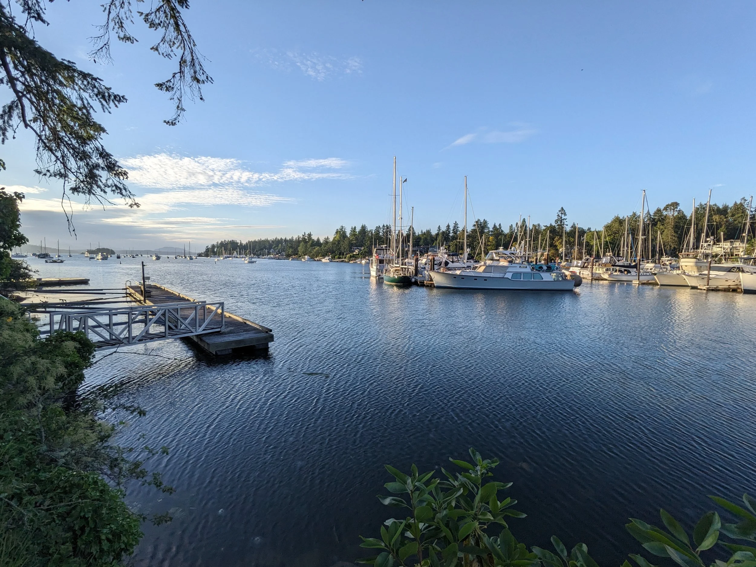 An ocean marina showing a dock and a few sail boats