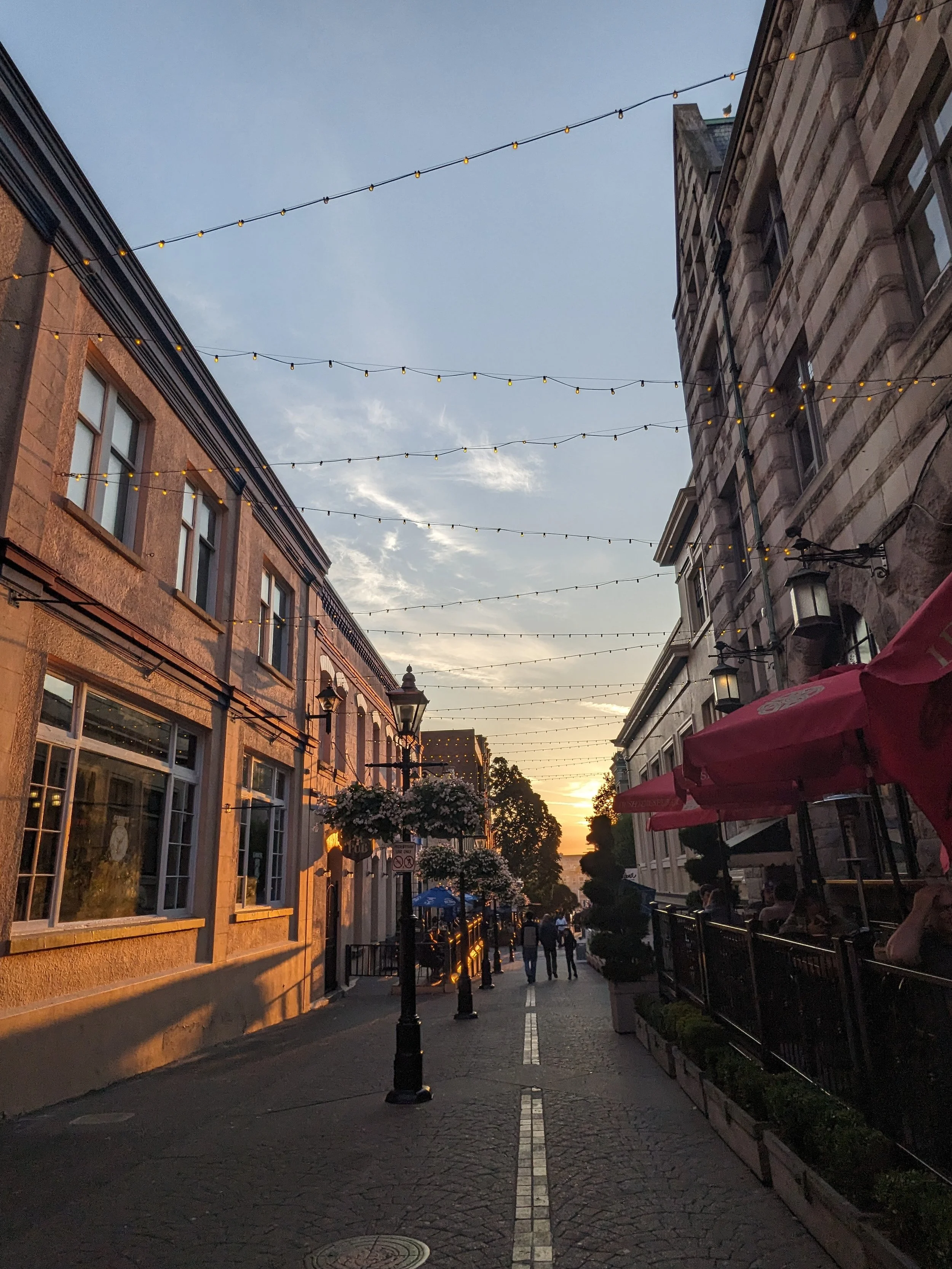 downtown victoria businesses