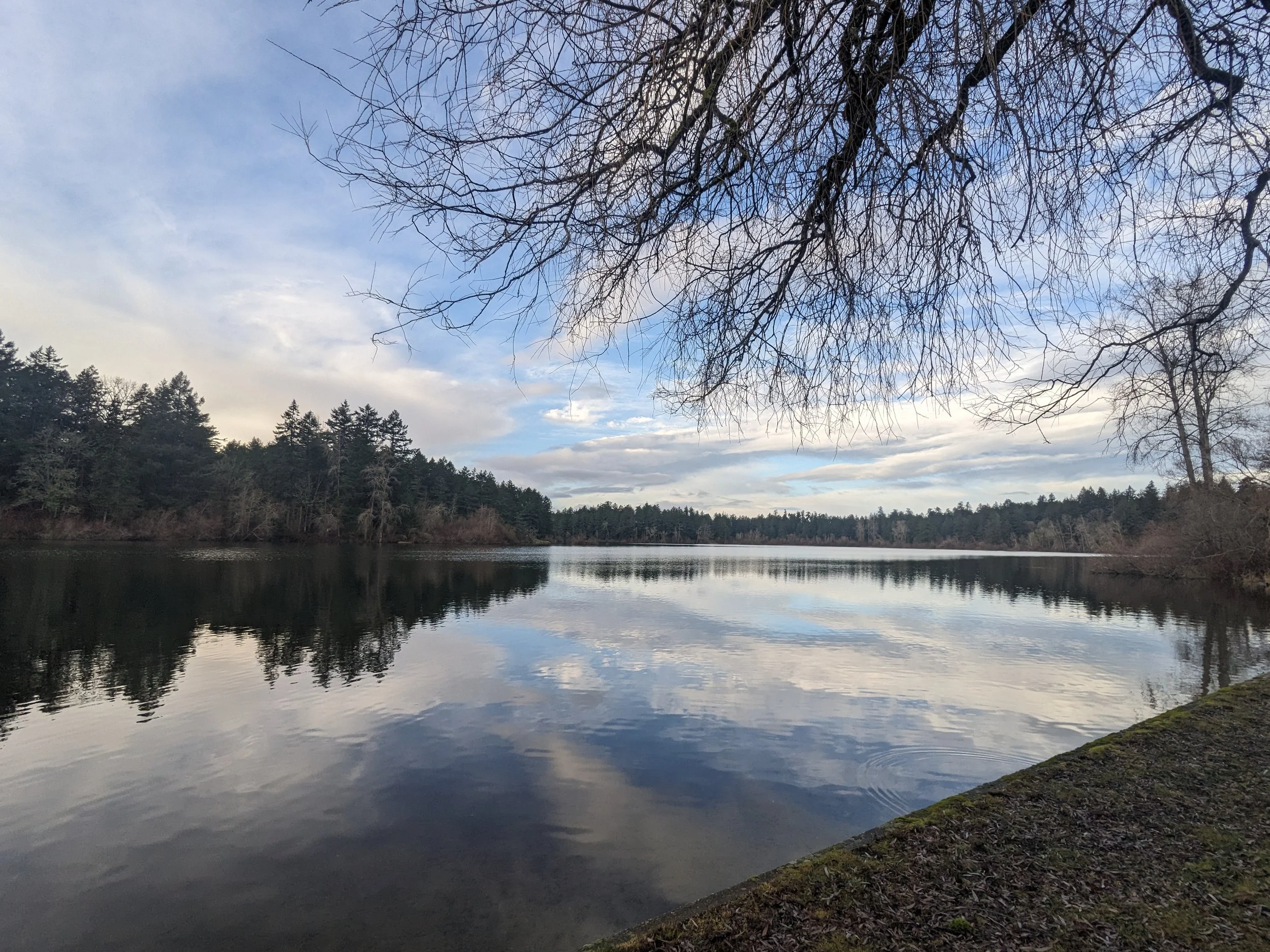 A calm lake reflecting clouds and a small view of a beach.