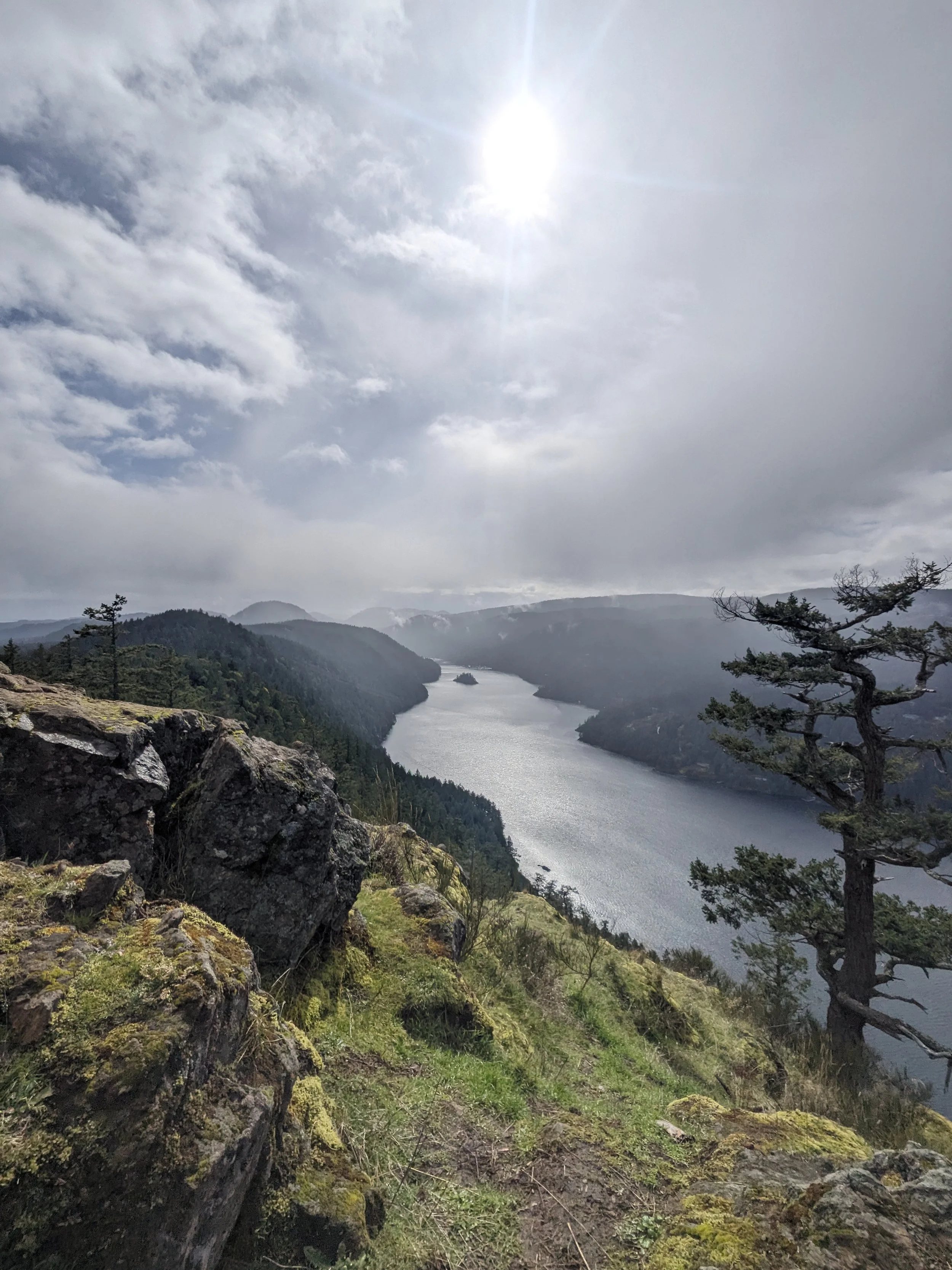 a lone windblown tree placed on a rocky outcrop overlooking a winding ocean.