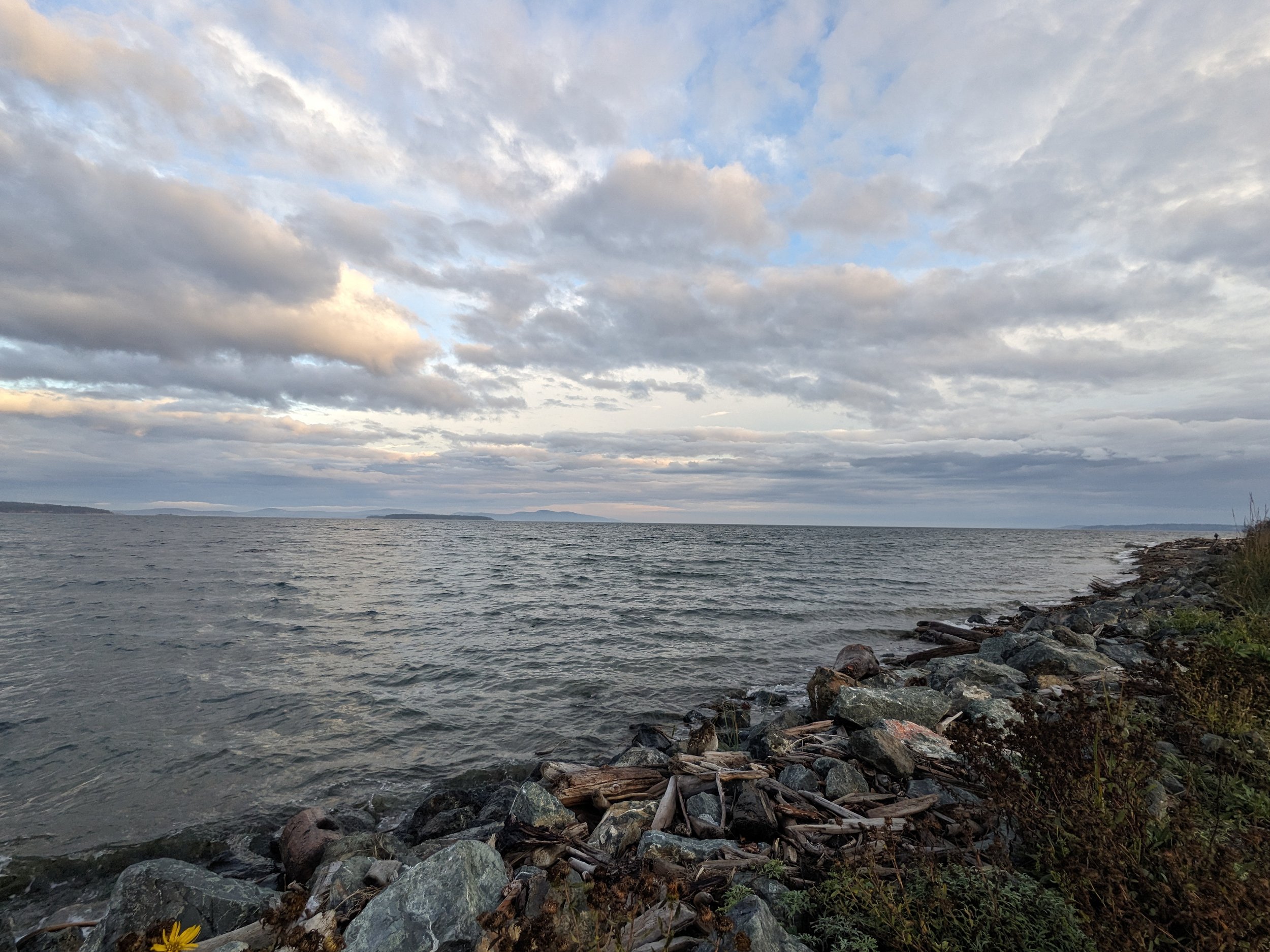 a rocky shore overlooking a vast ocean.