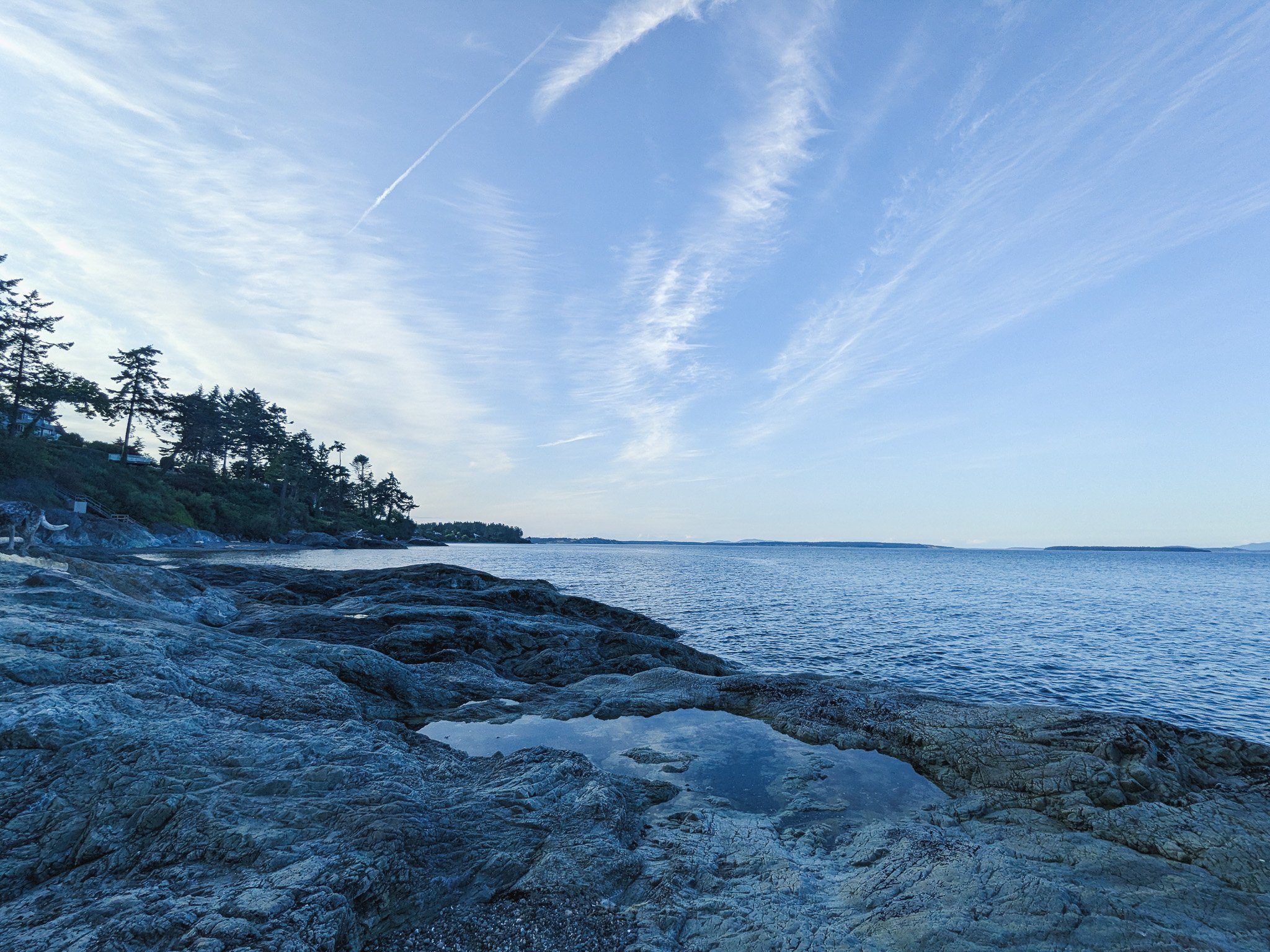 A rocky shore with the ocean and a few wind blown trees