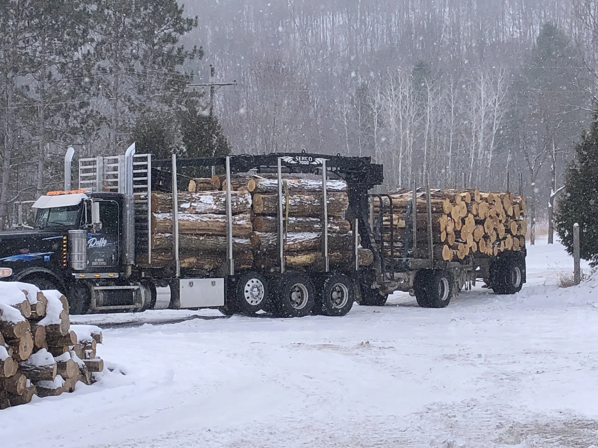 Black Locust on log truck