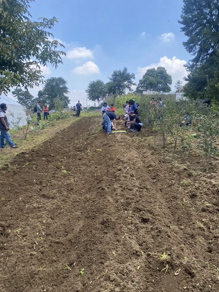 Inmersión Campesina